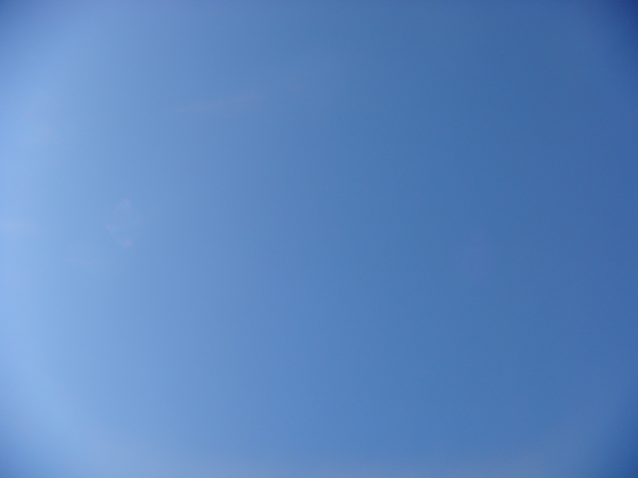 �{���Č����L