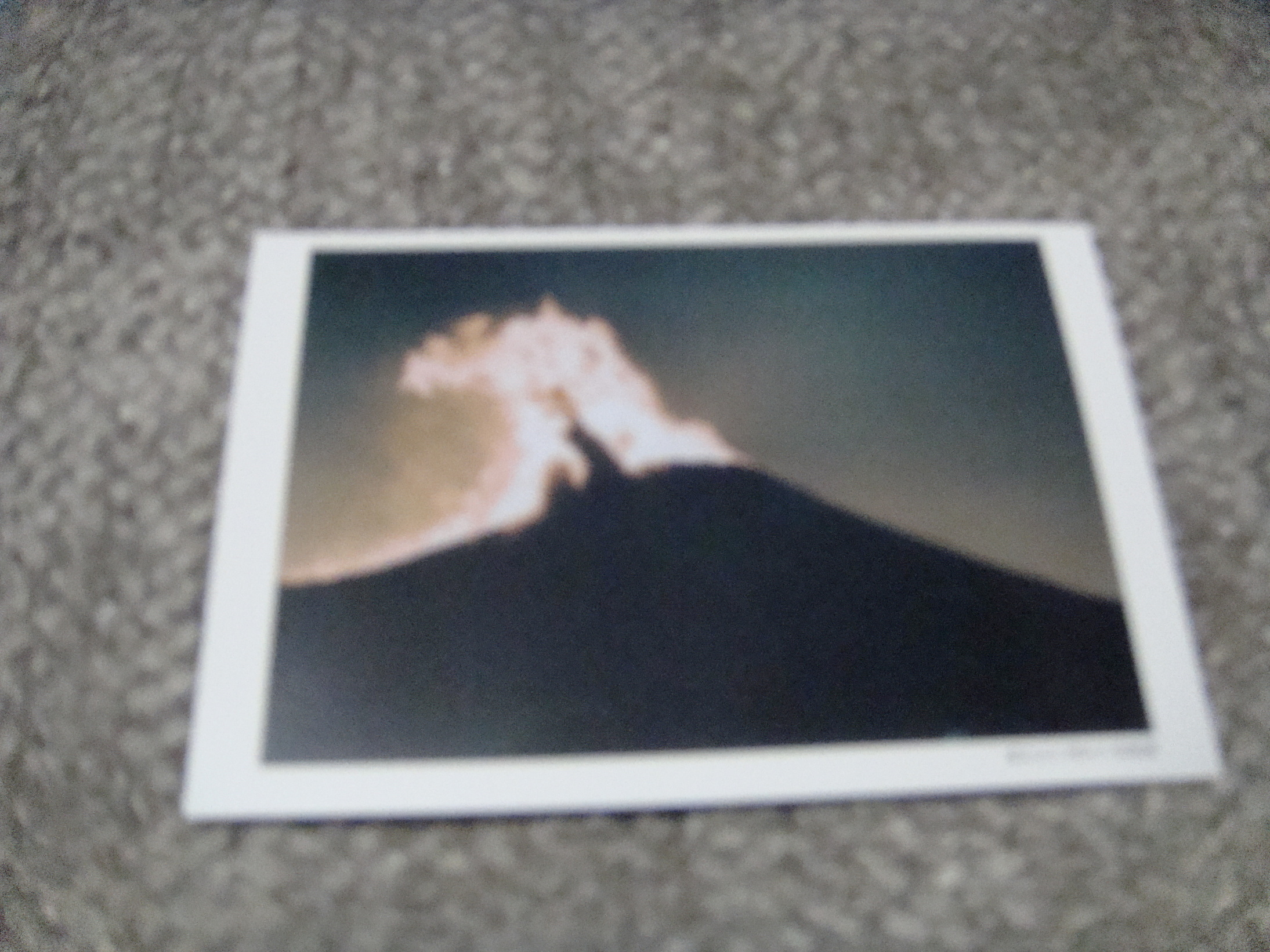 �{���Č����L