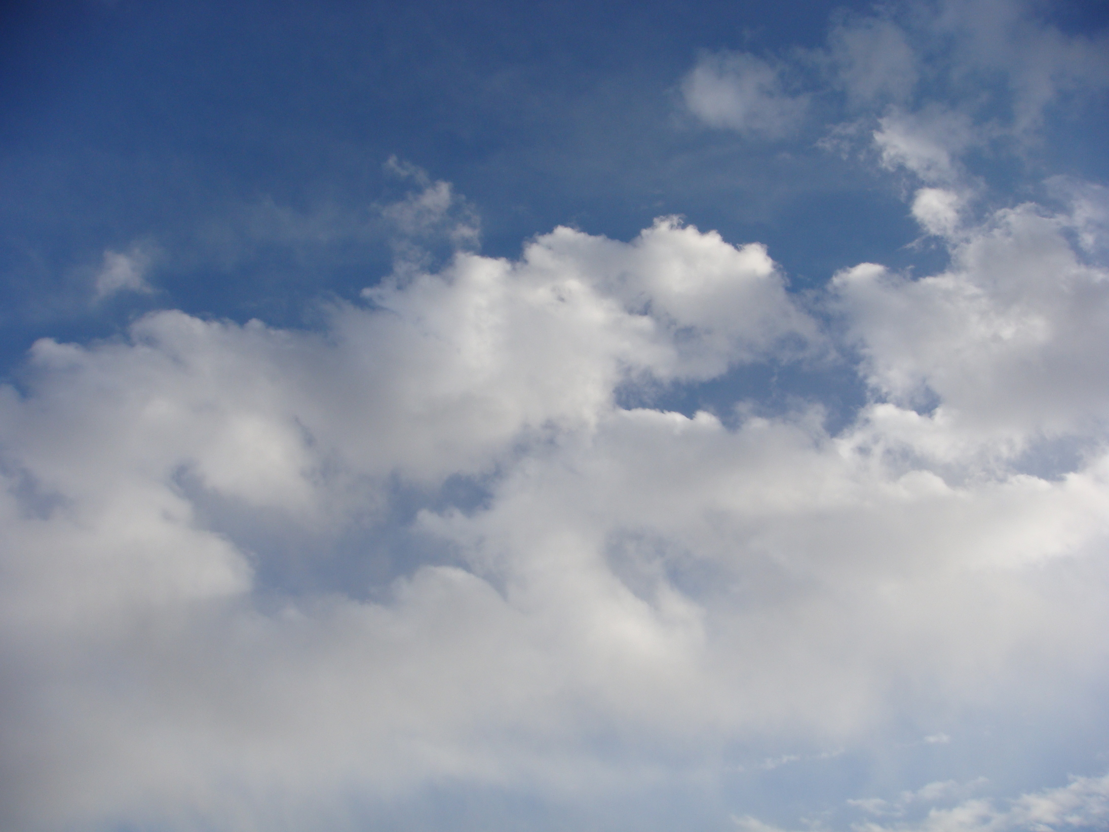 �{���Č����L