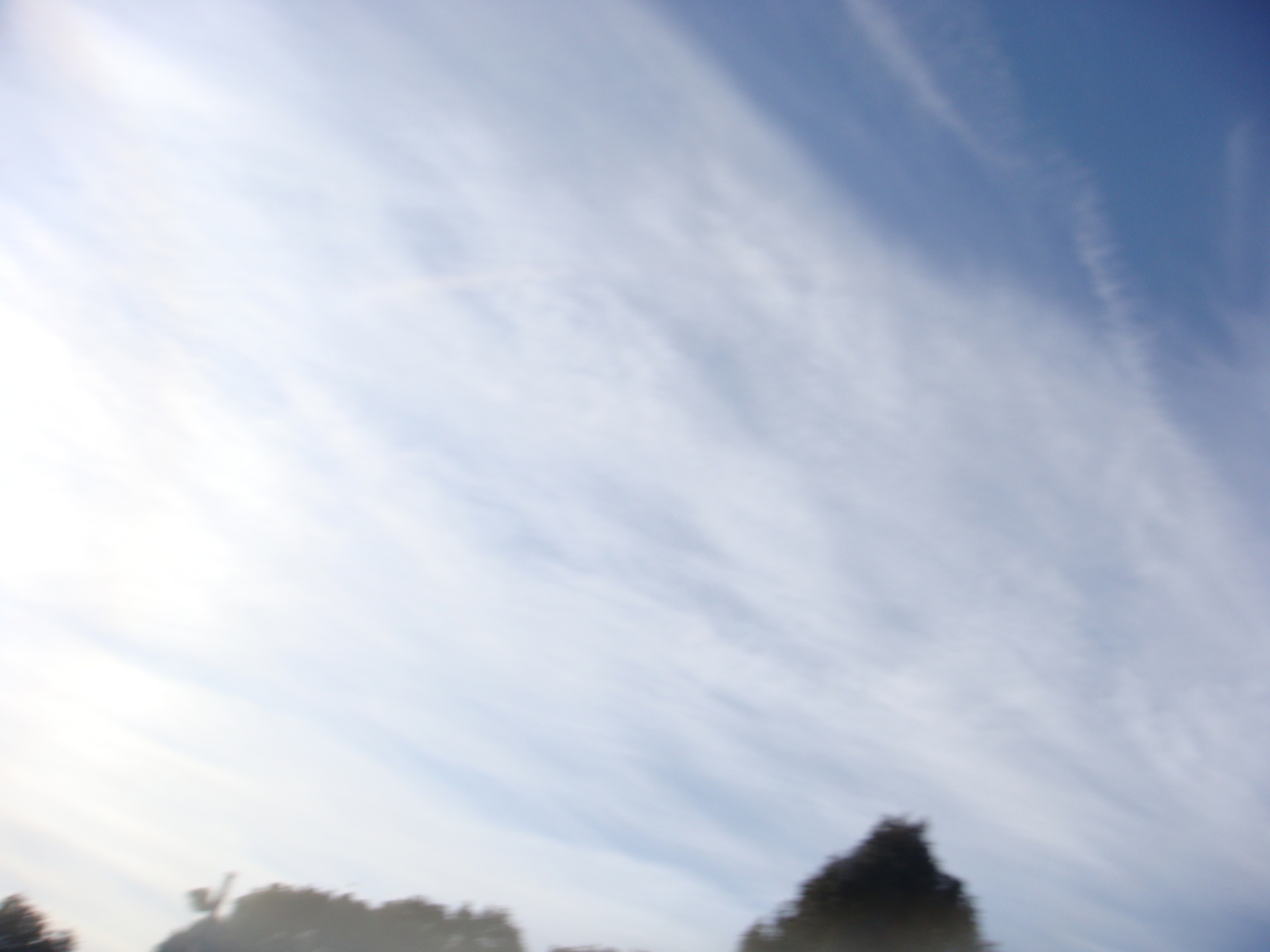 �{���Č����L