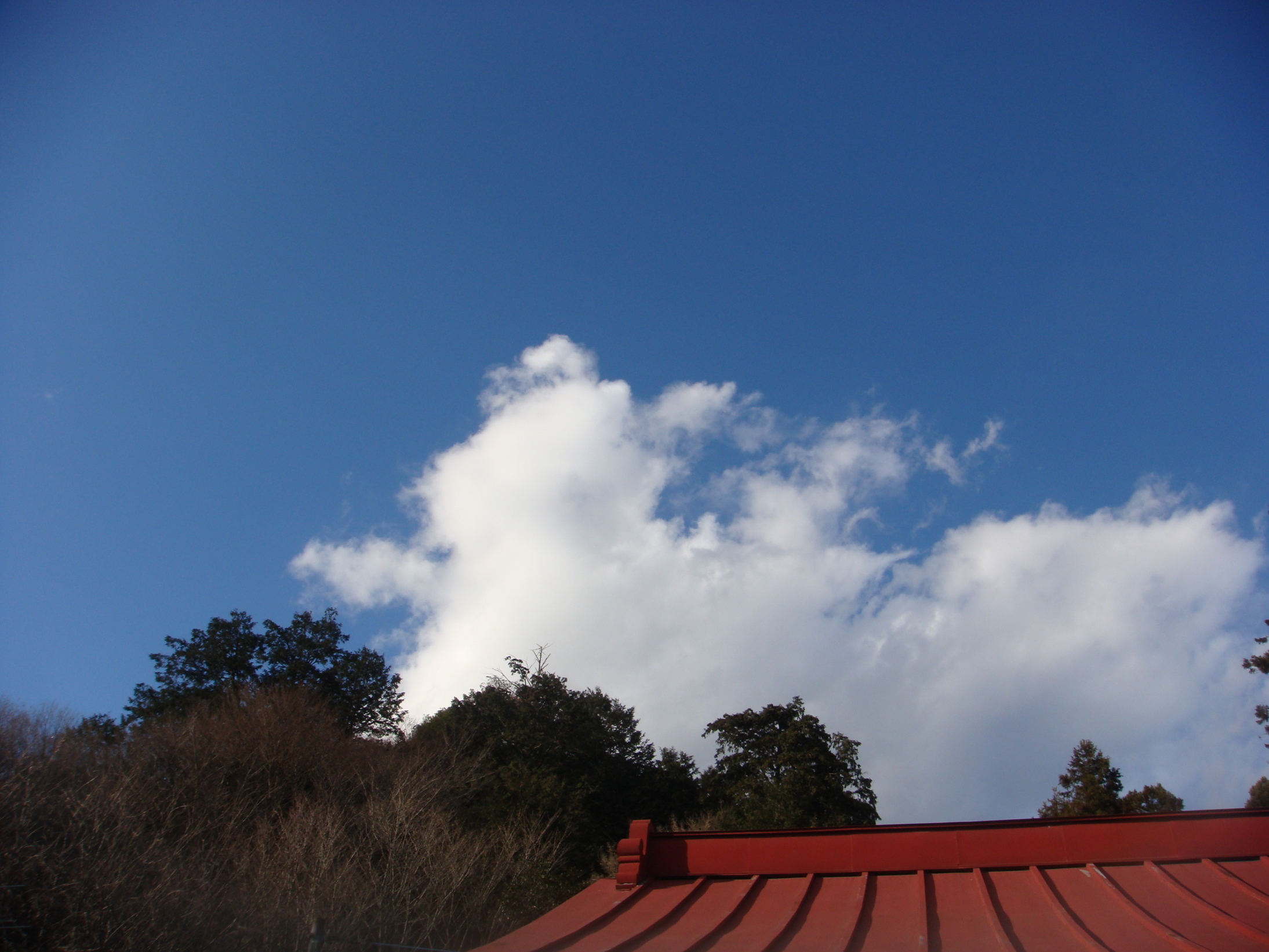 �{���Č����L