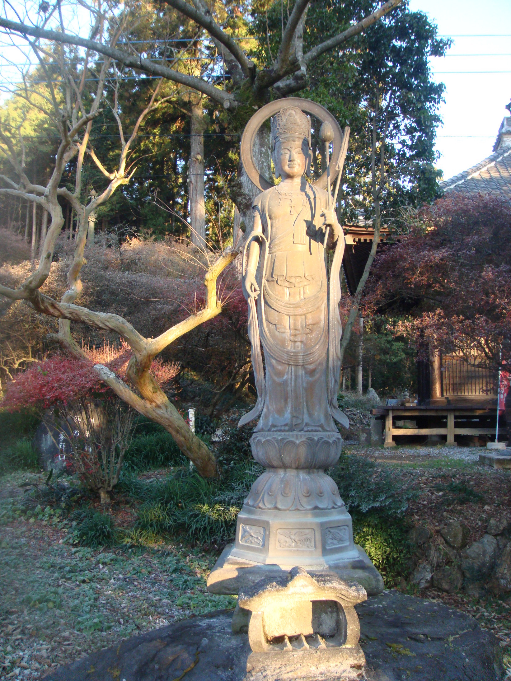 �{���Č����L