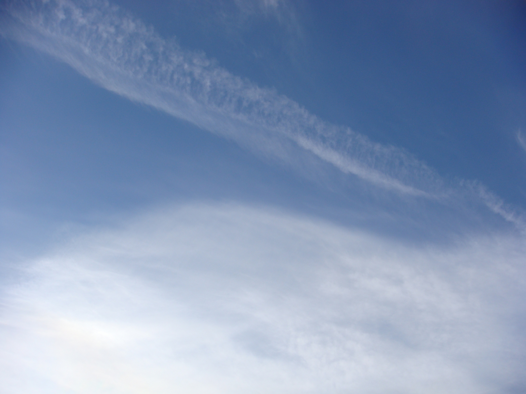 �{���Č����L