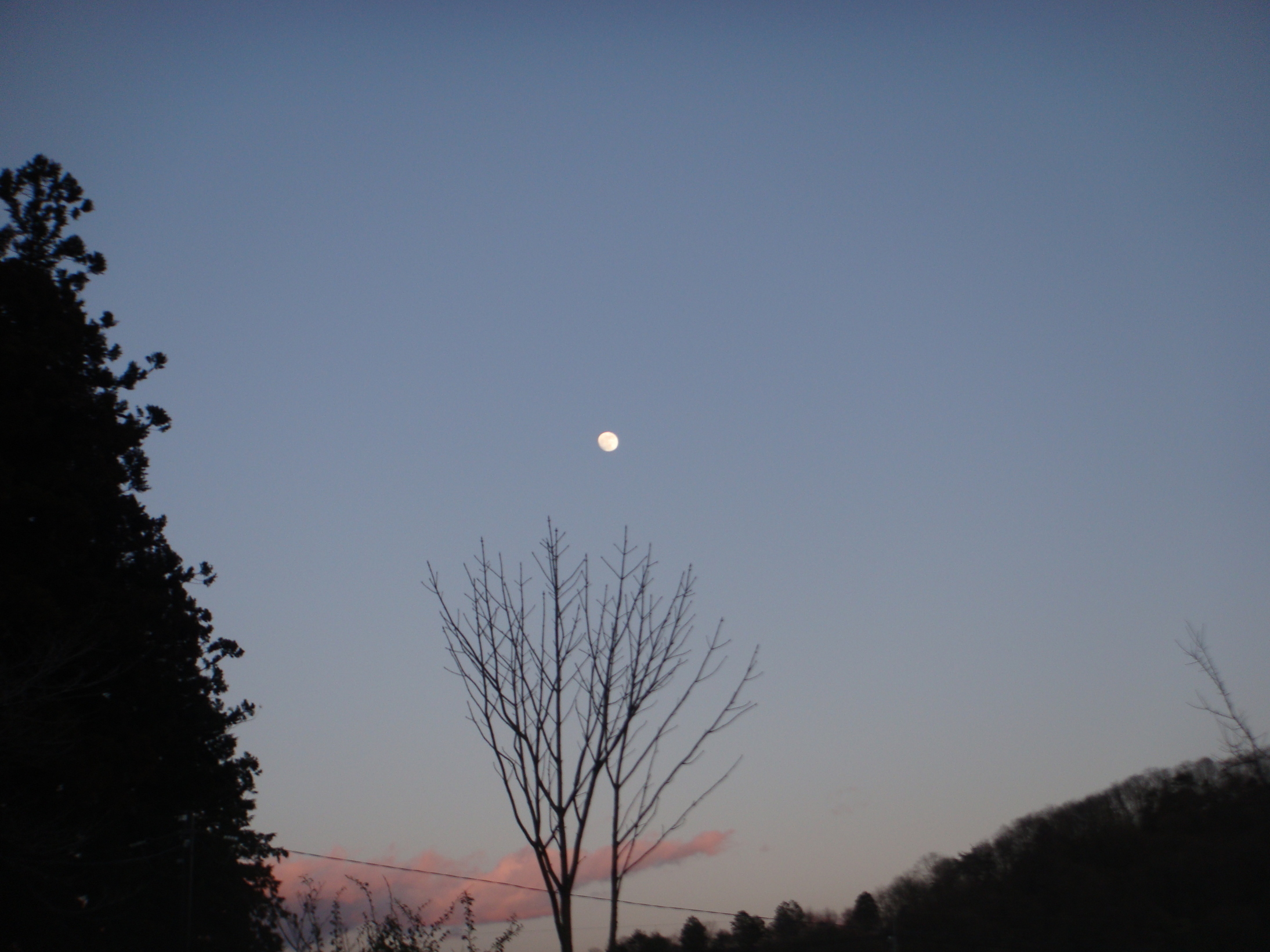 �{���Č����L