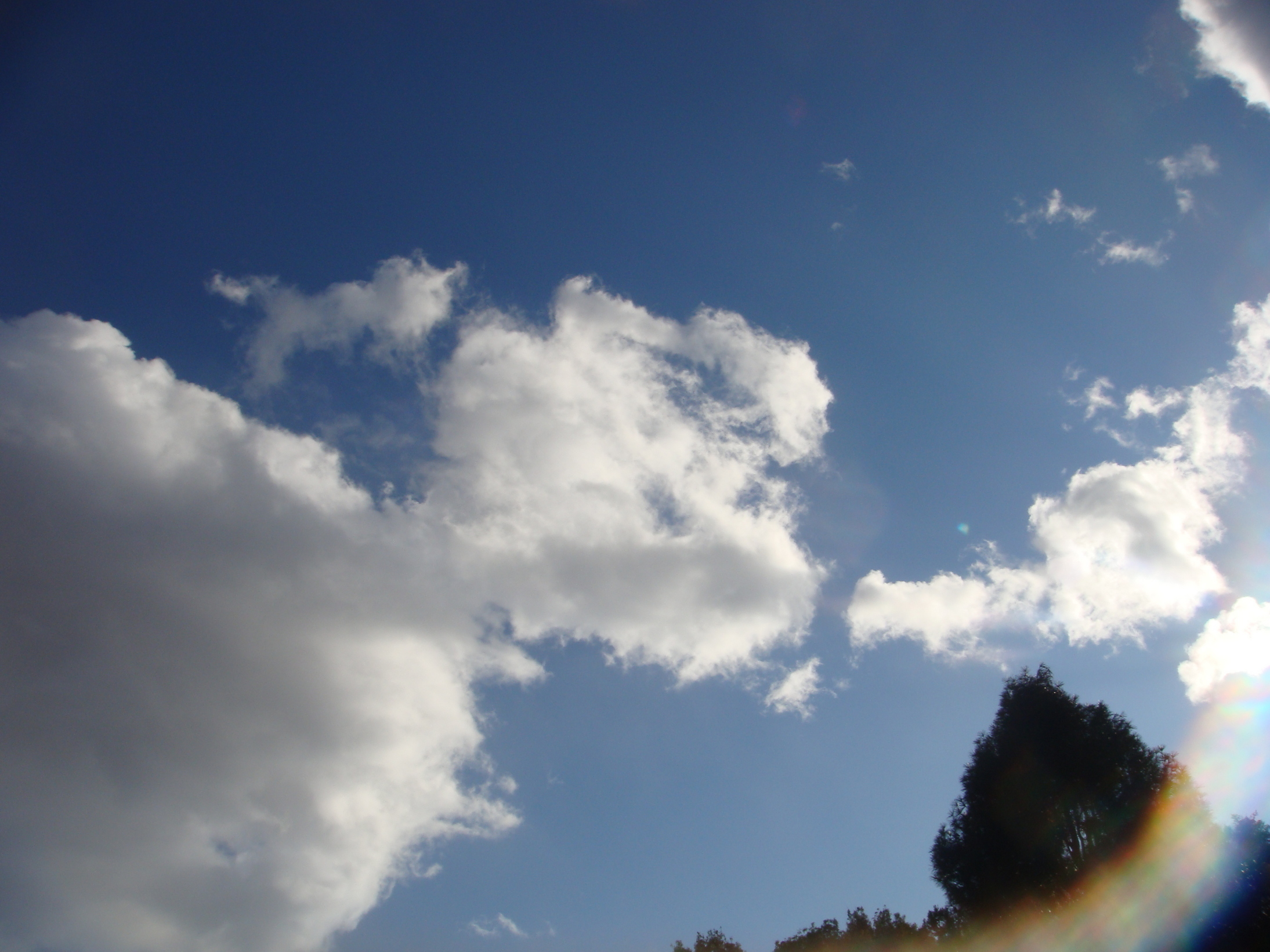 �{���Č����L