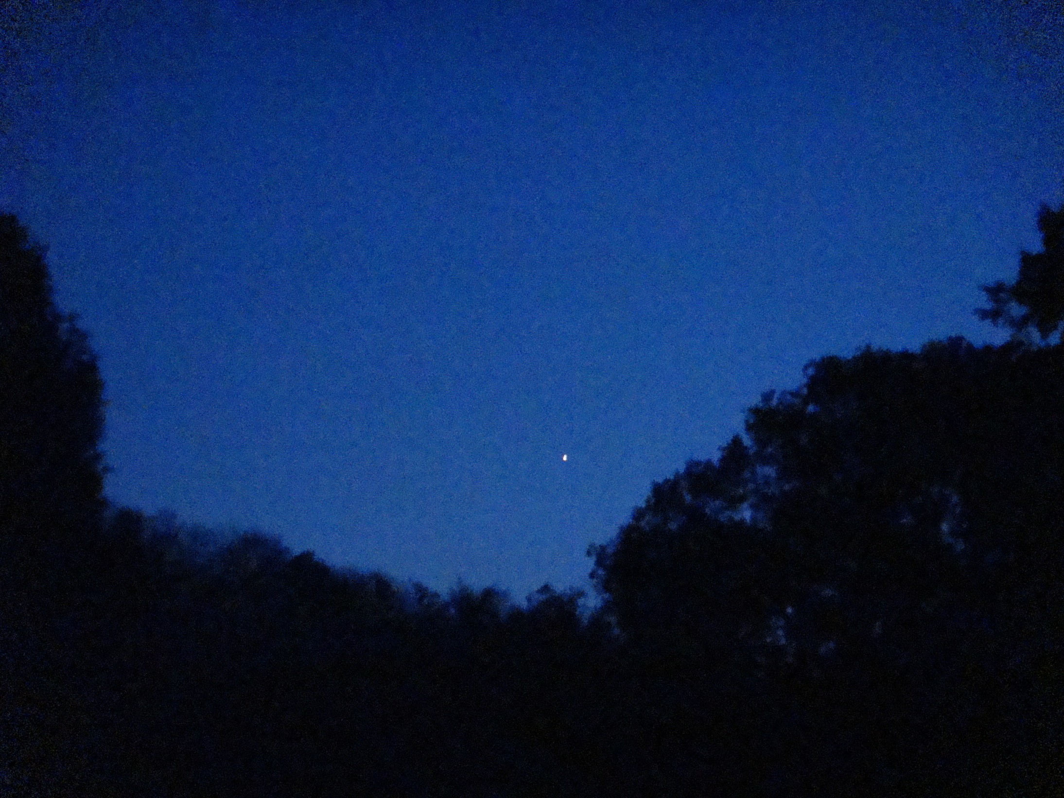 �{���Č����L