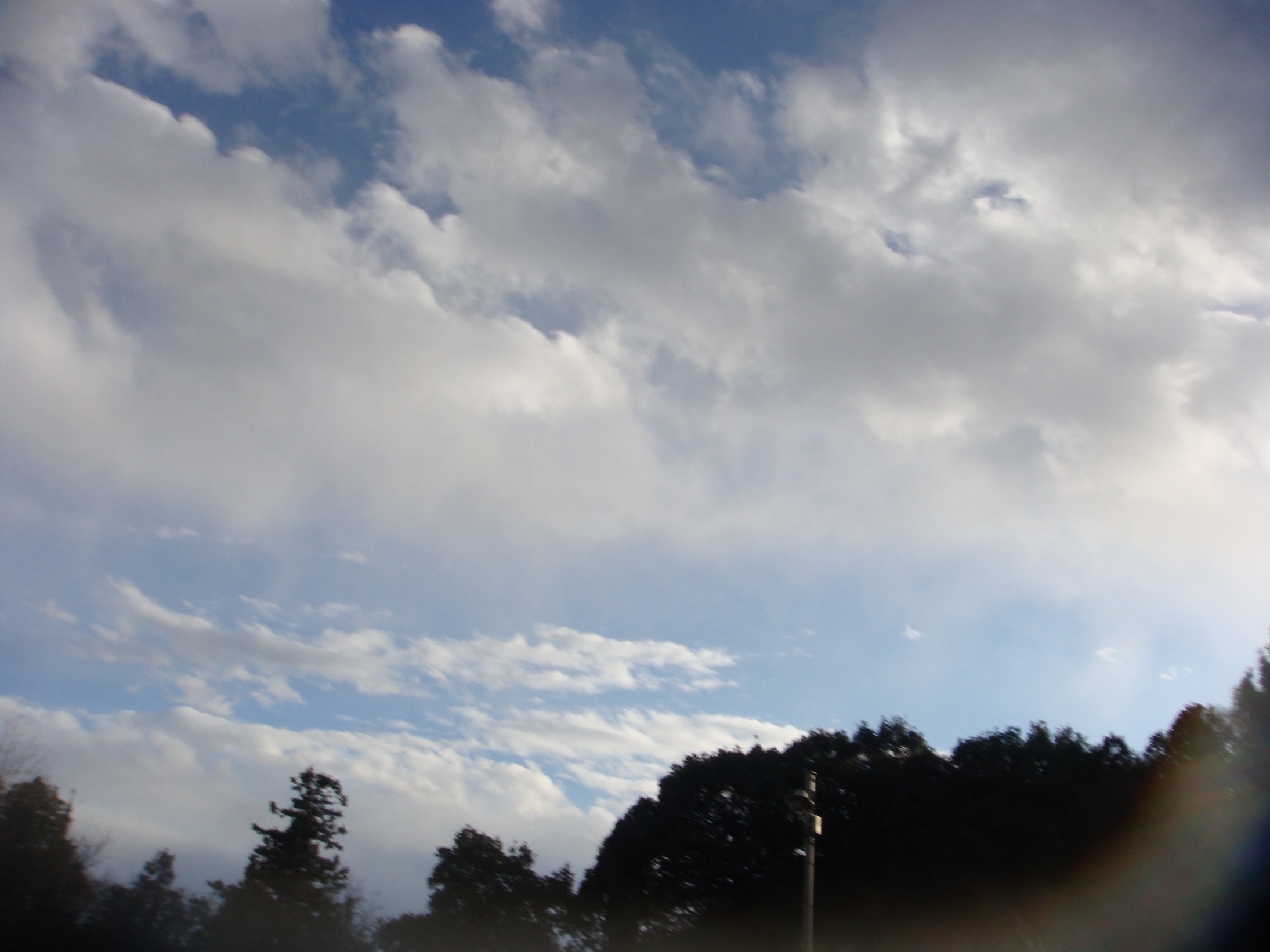 �{���Č����L