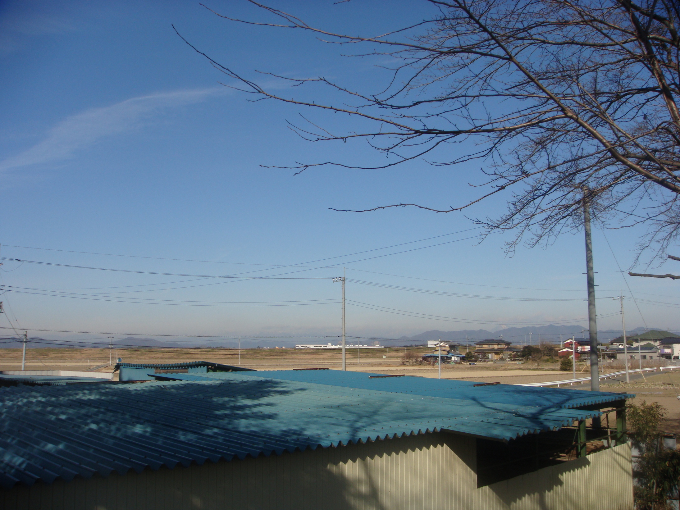 �{���Č����L