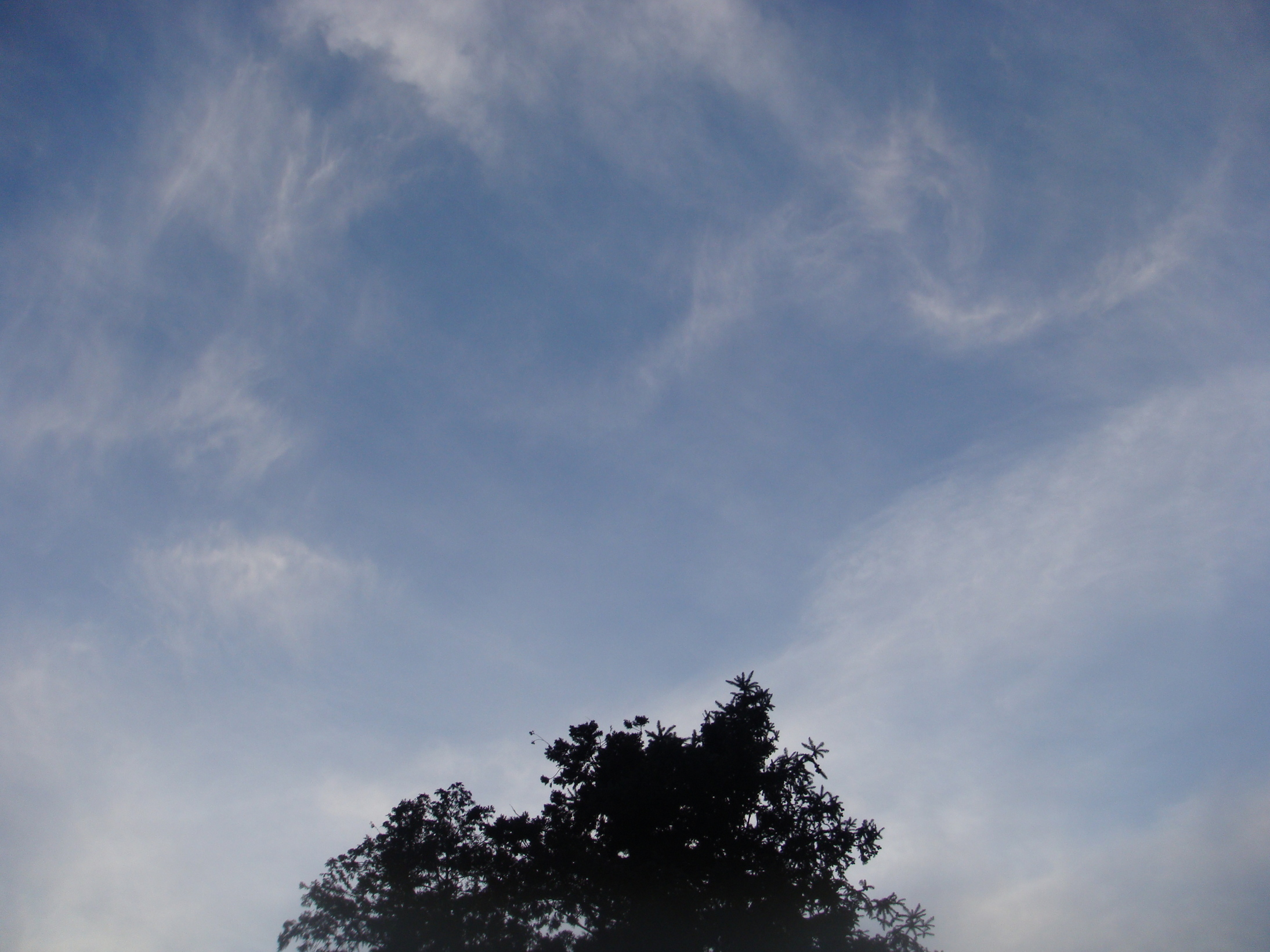 �{���Č����L