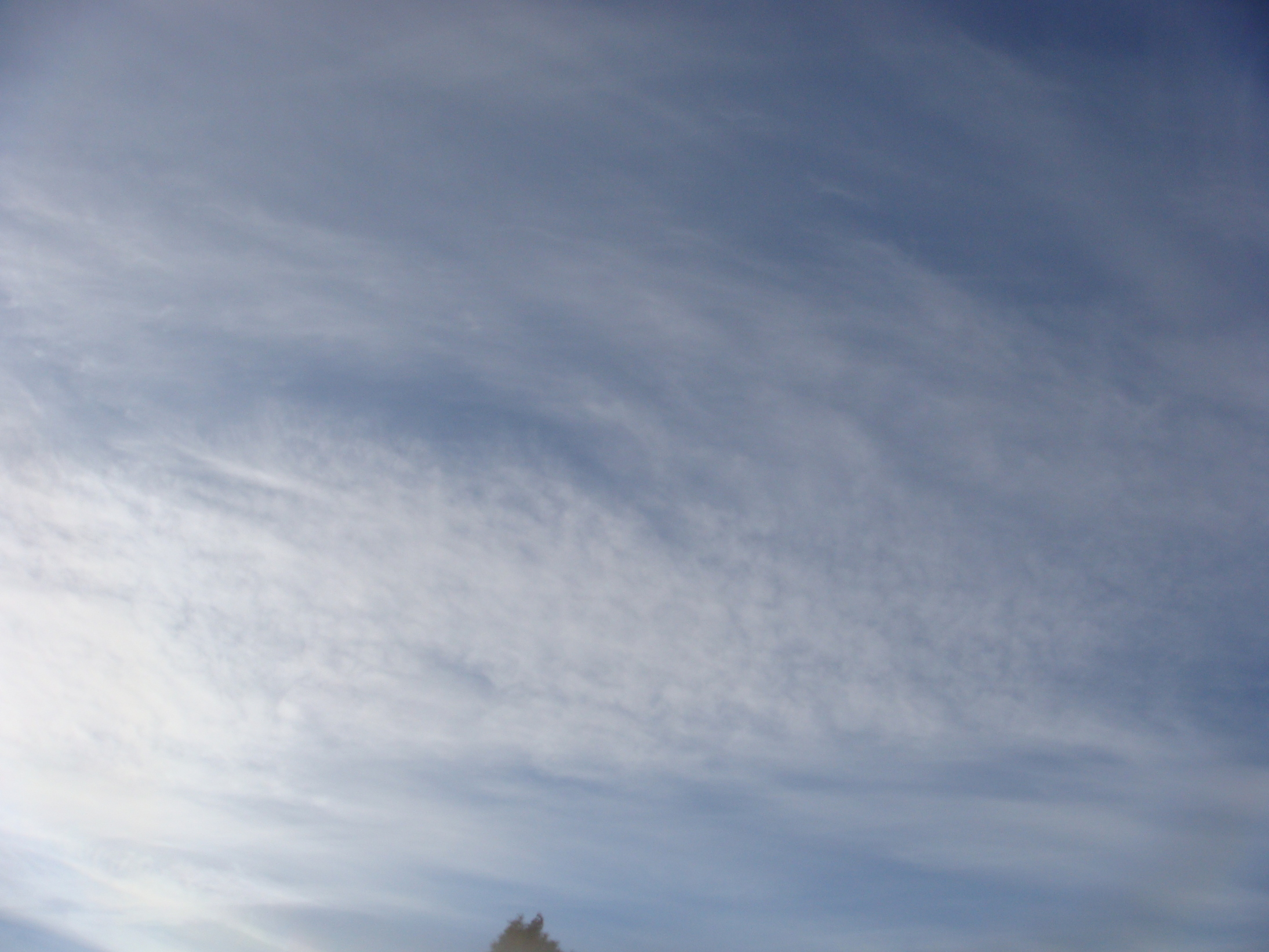 �{���Č����L