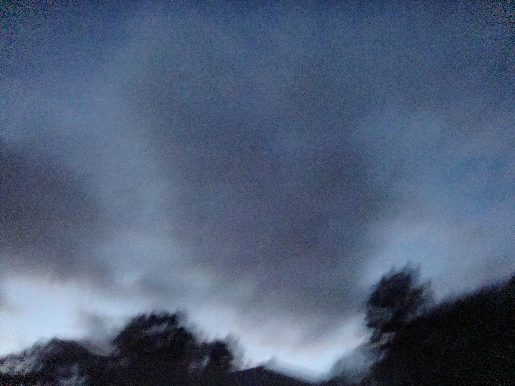 �{���Č����L