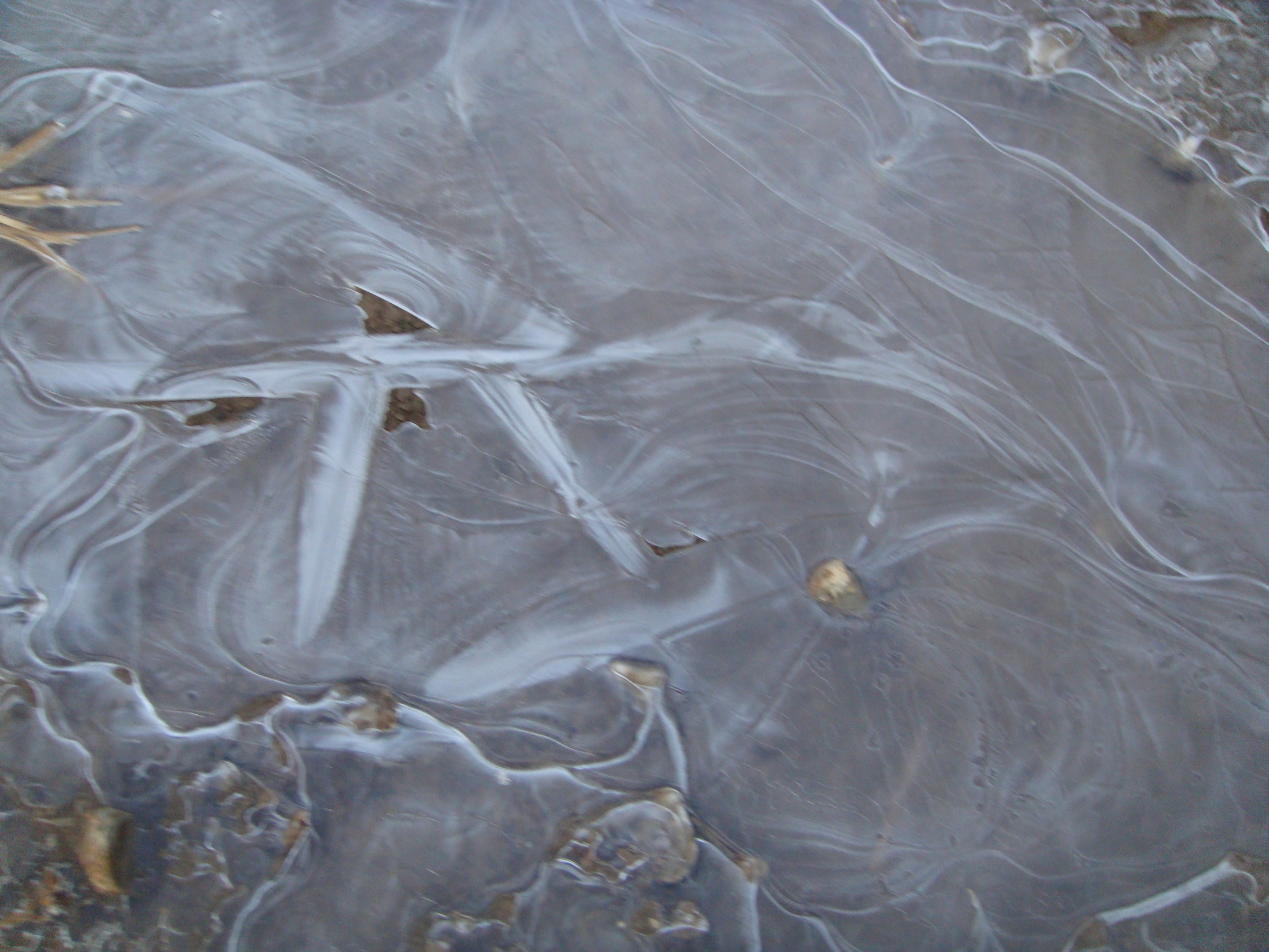 �{���Č����L