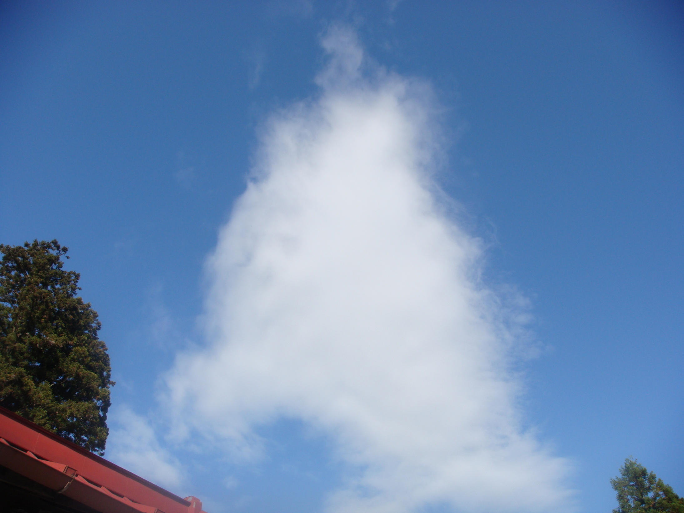 �{���Č����L