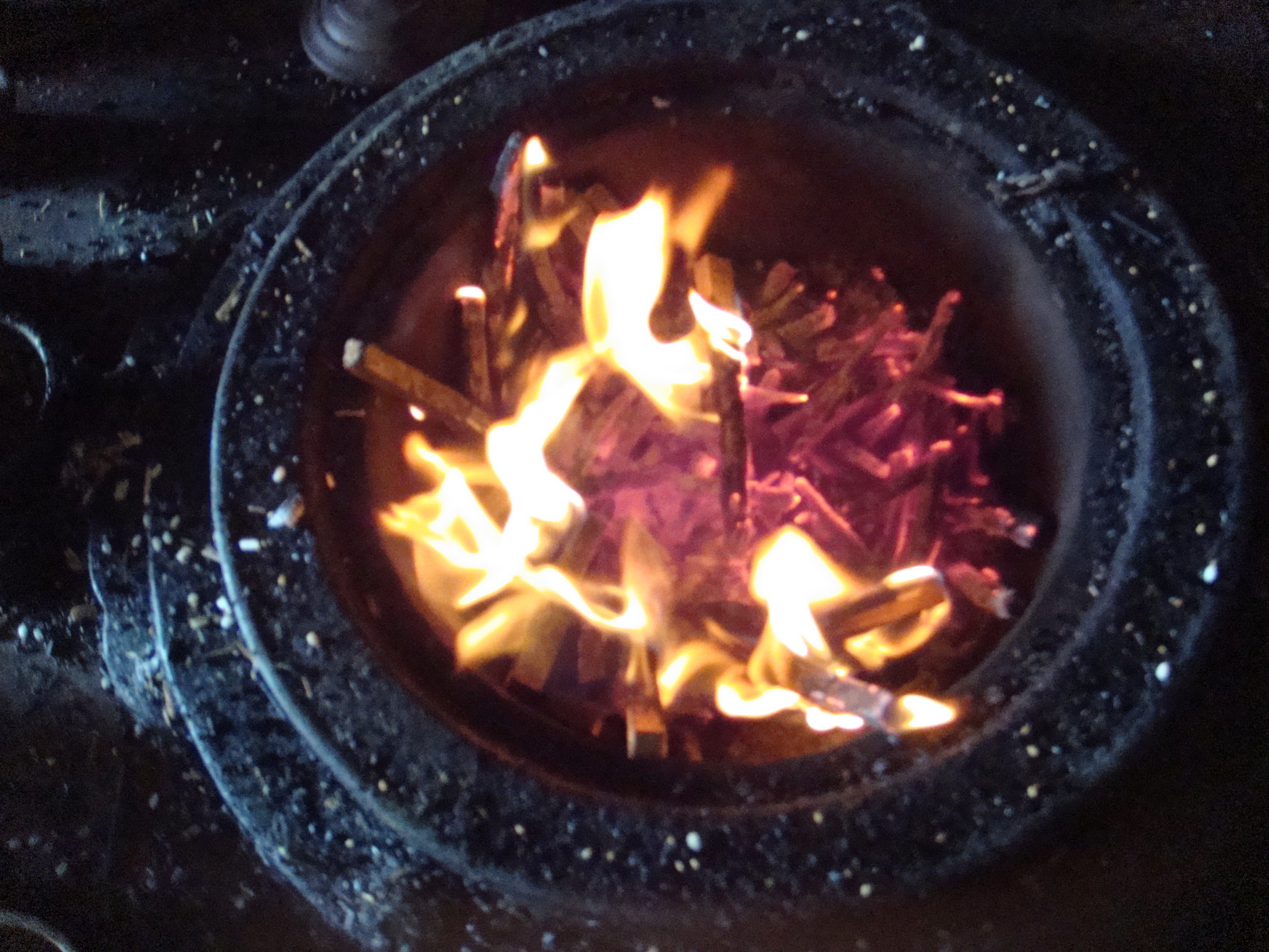 �{���Č����L