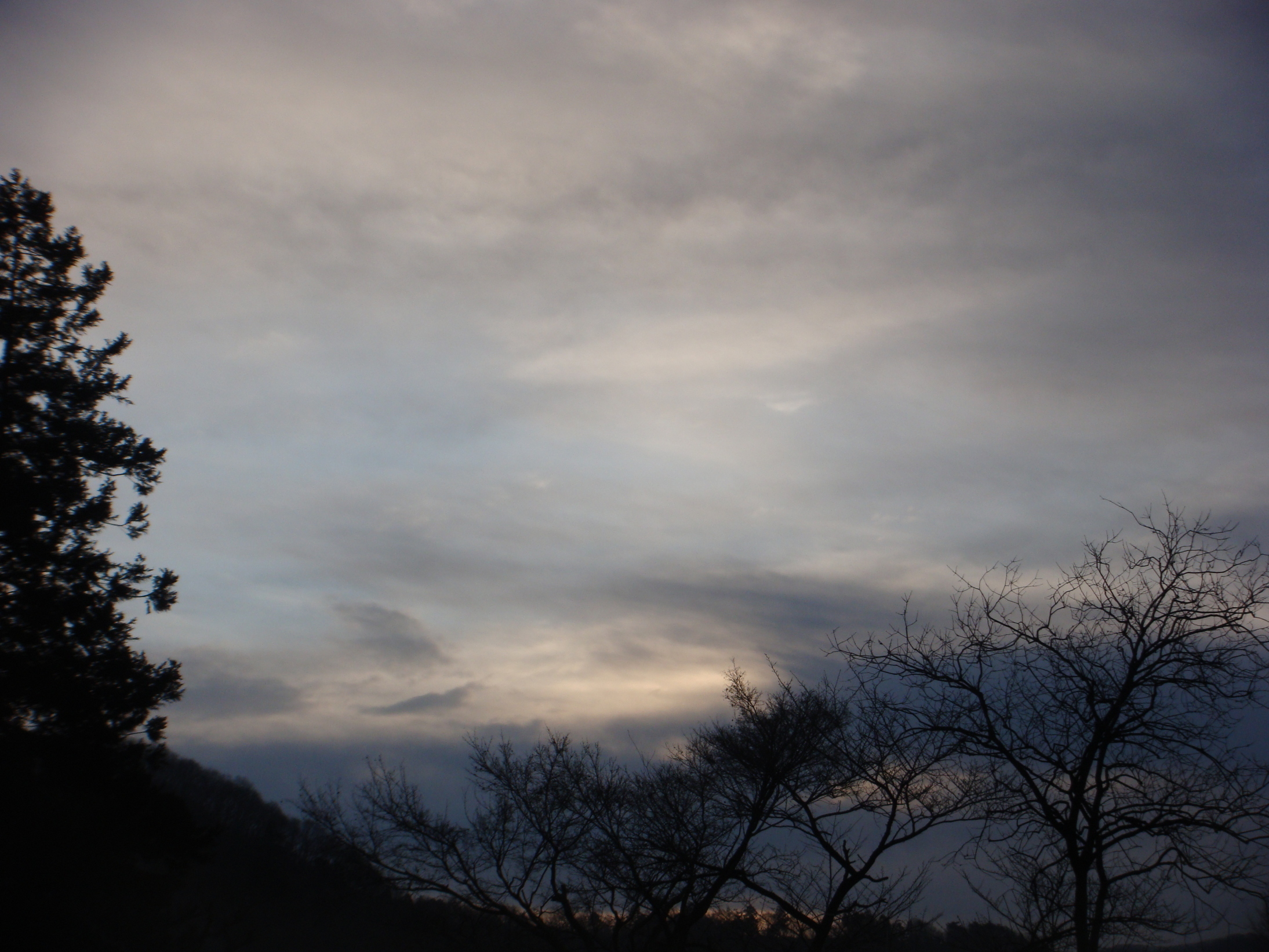 �{���Č����L