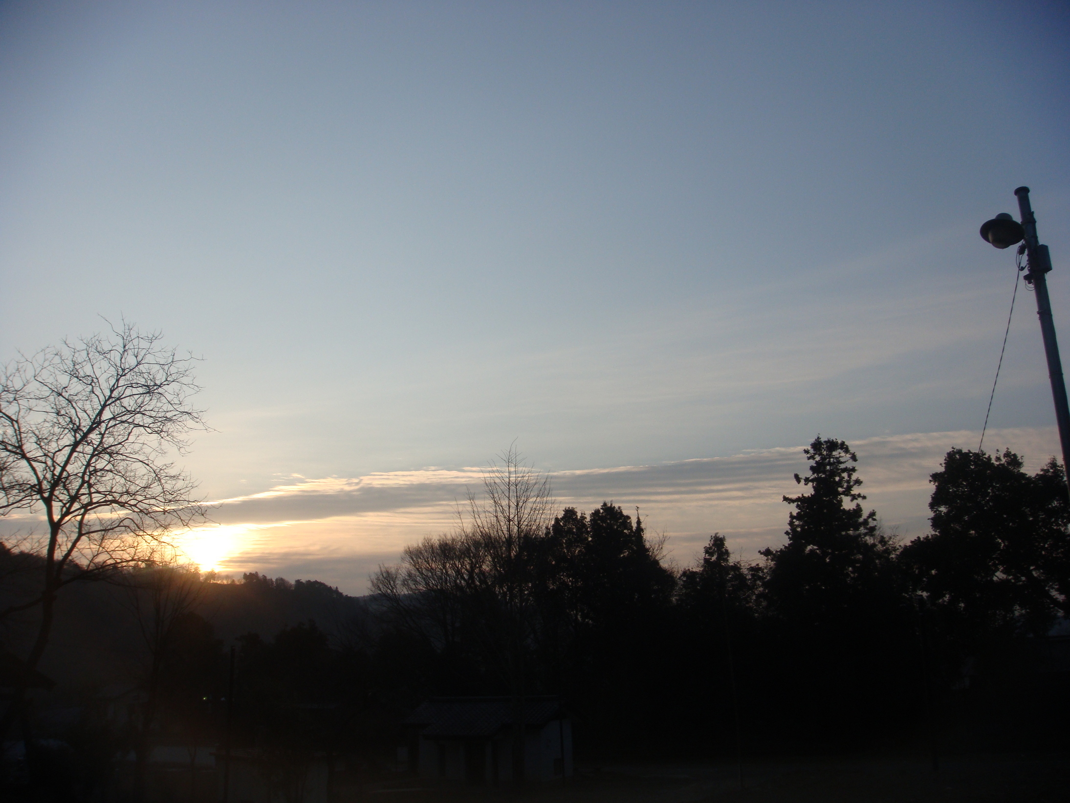 �{���Č����L