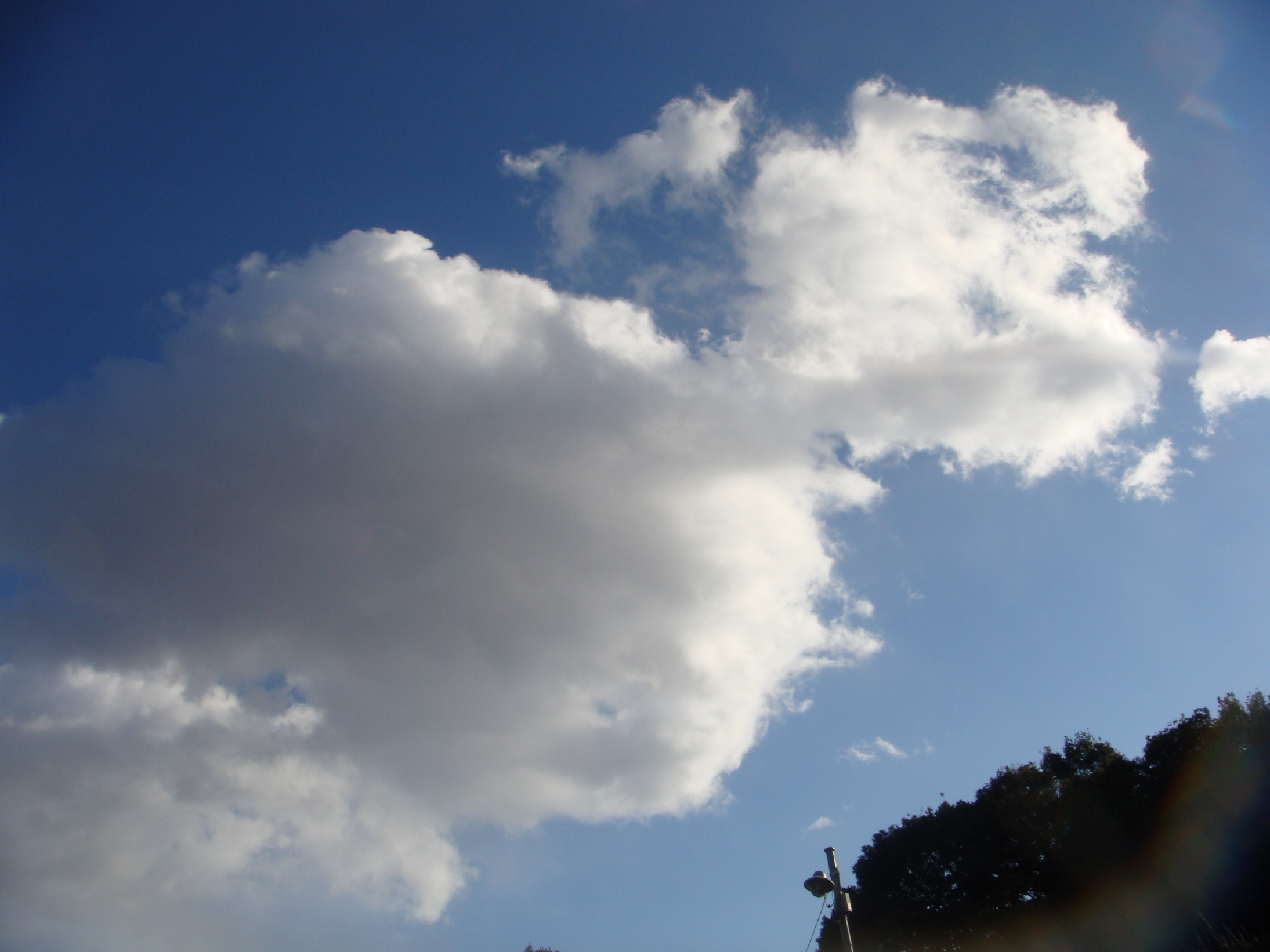 �{���Č����L