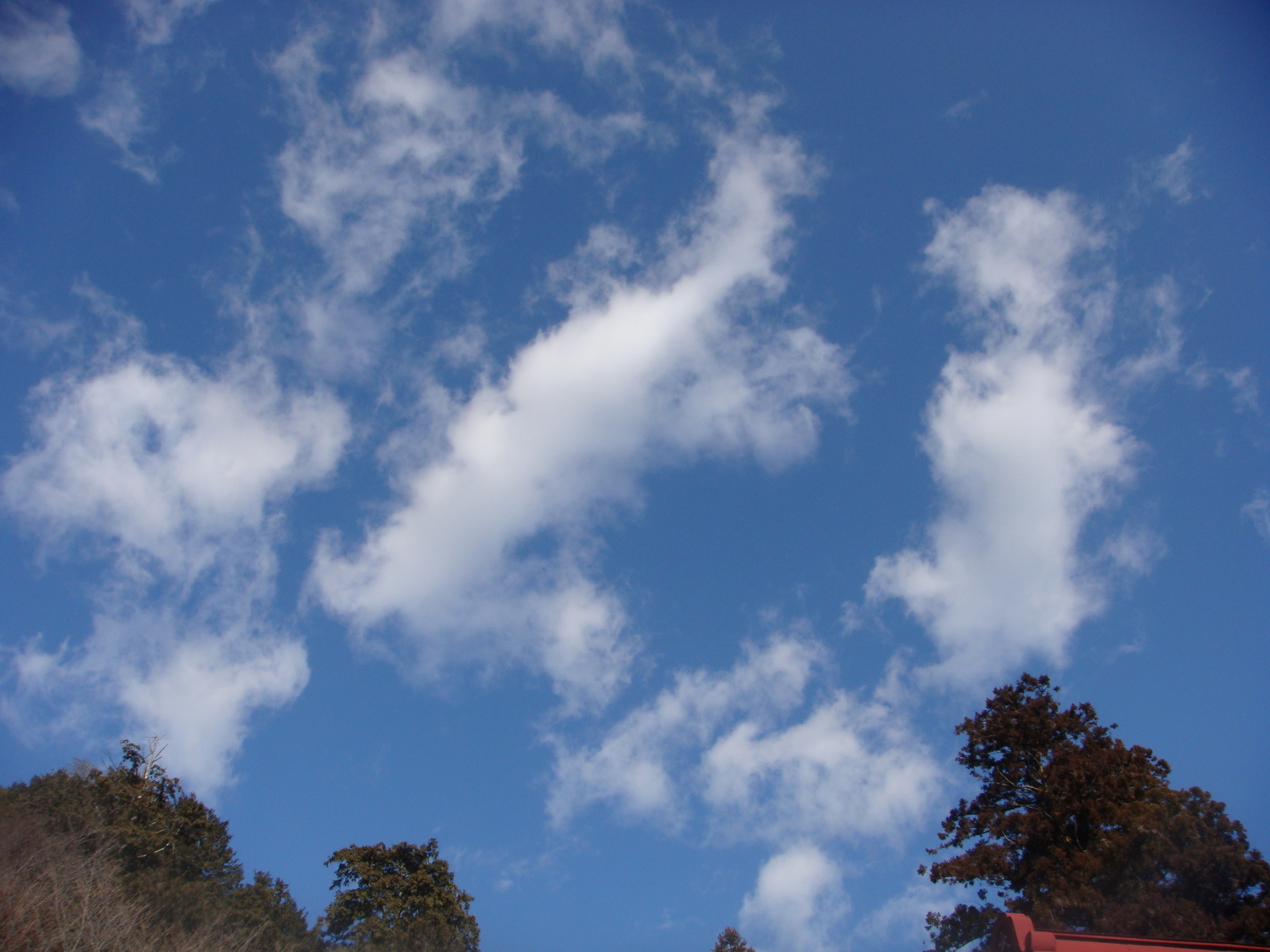 �{���Č����L