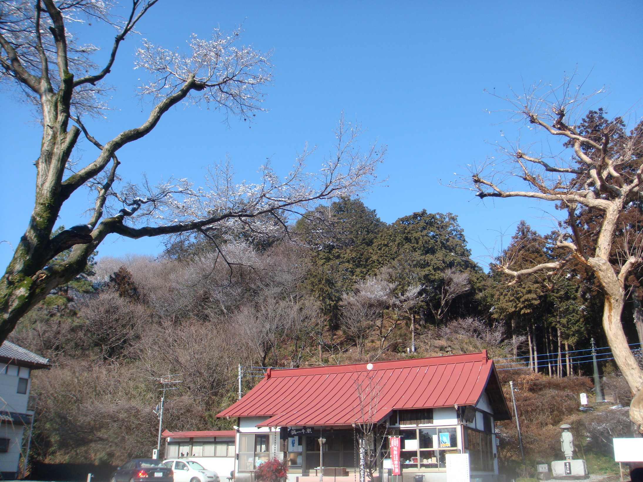 �{���Č����L