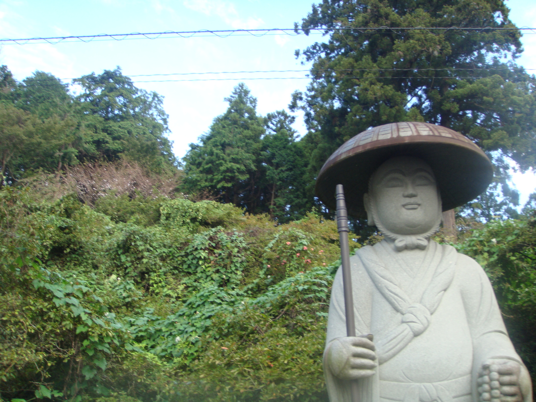 �{���Č����L