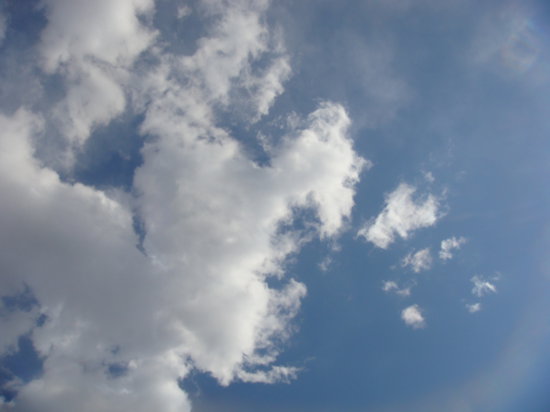 �{���Č����L