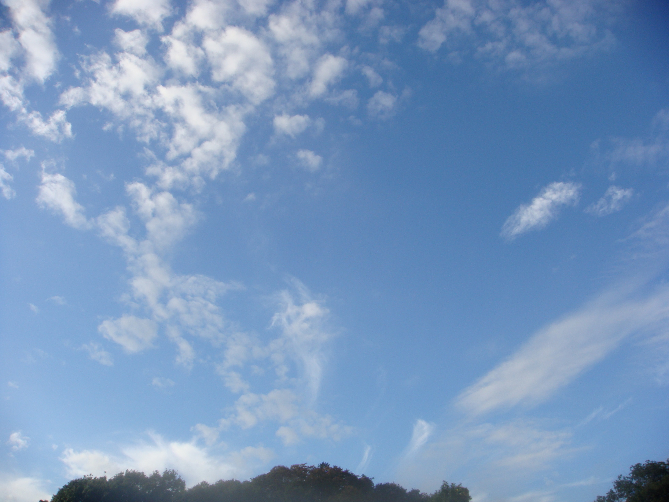 �{���Č����L