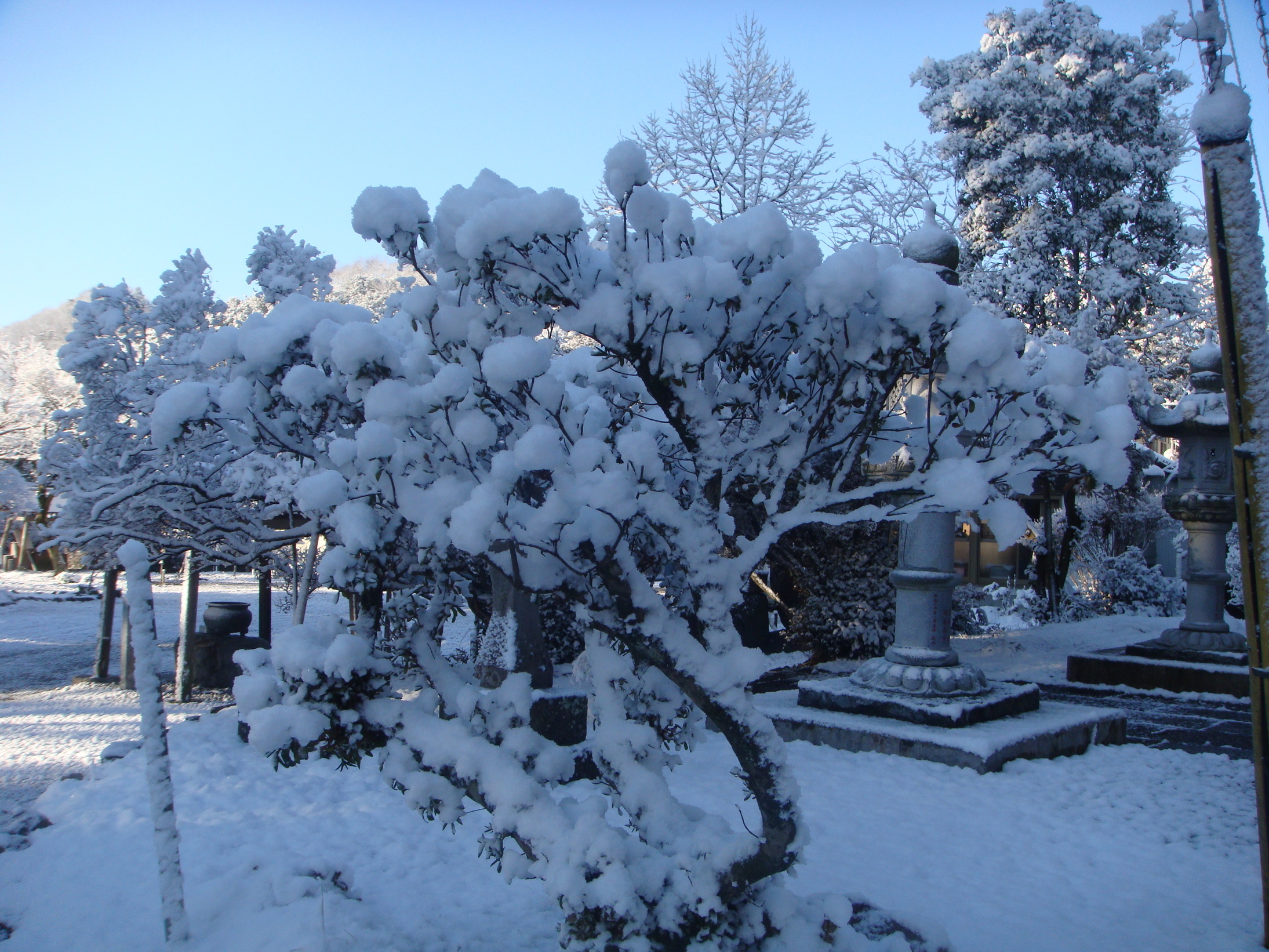 �{���Č����L