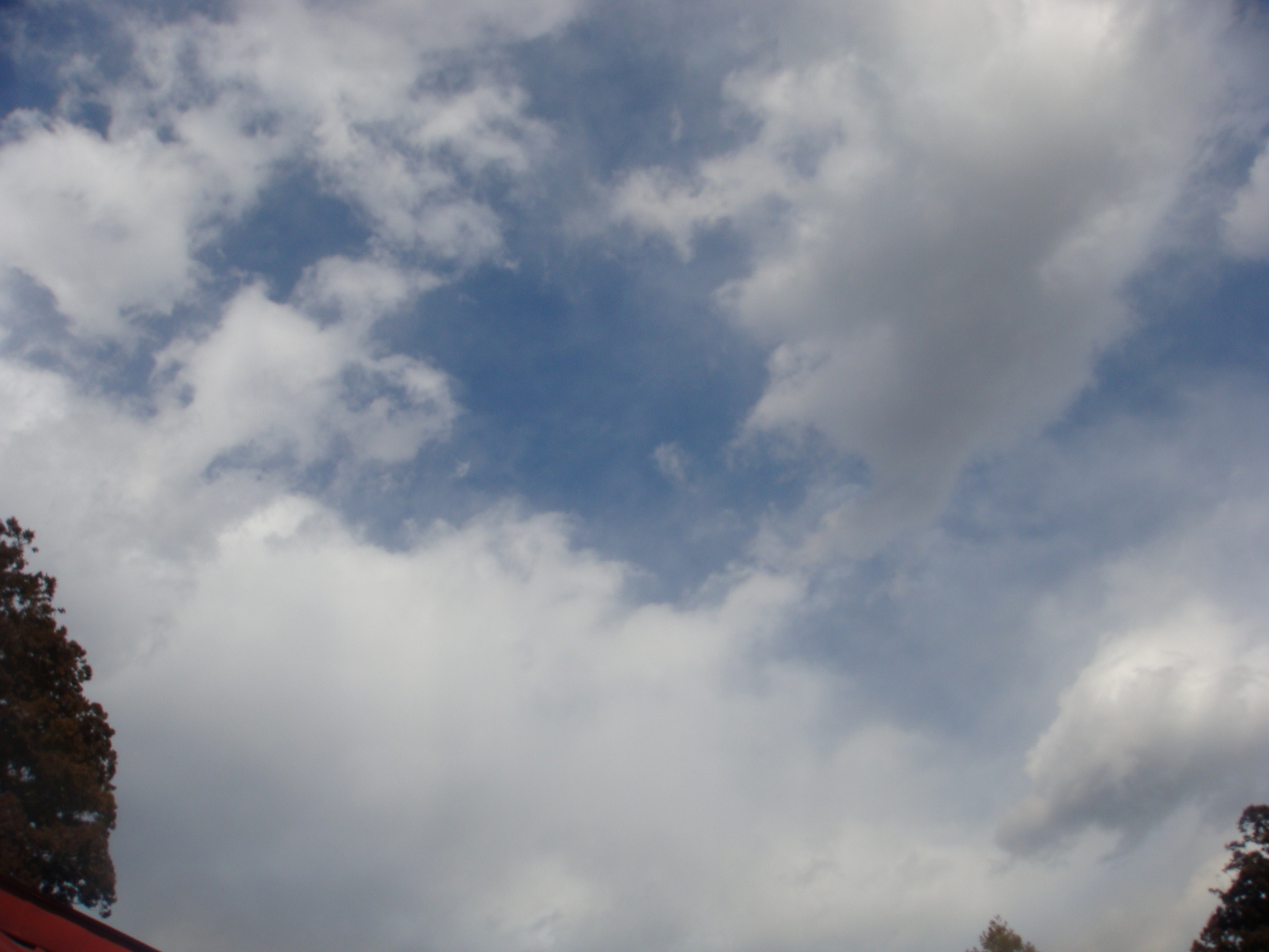 �{���Č����L