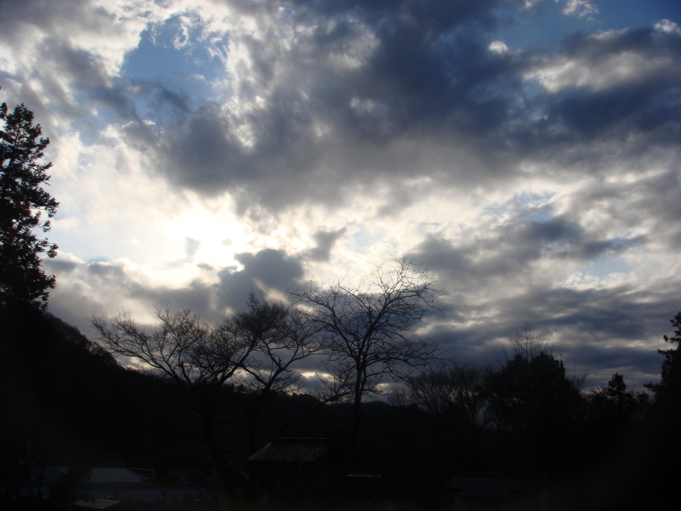 �{���Č����L