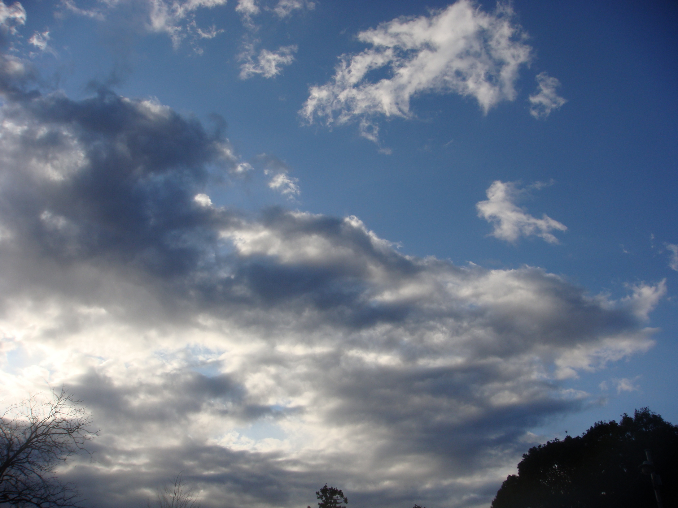 �{���Č����L