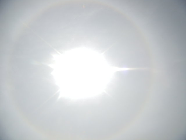 �{���Č����L