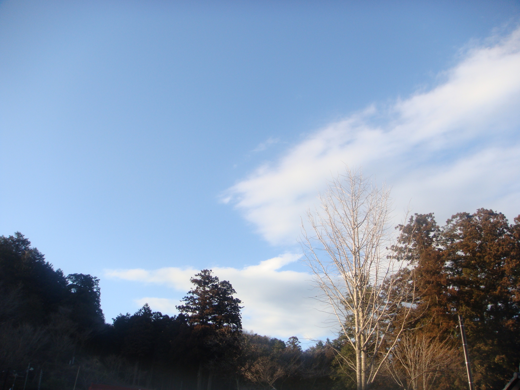 �{���Č����L