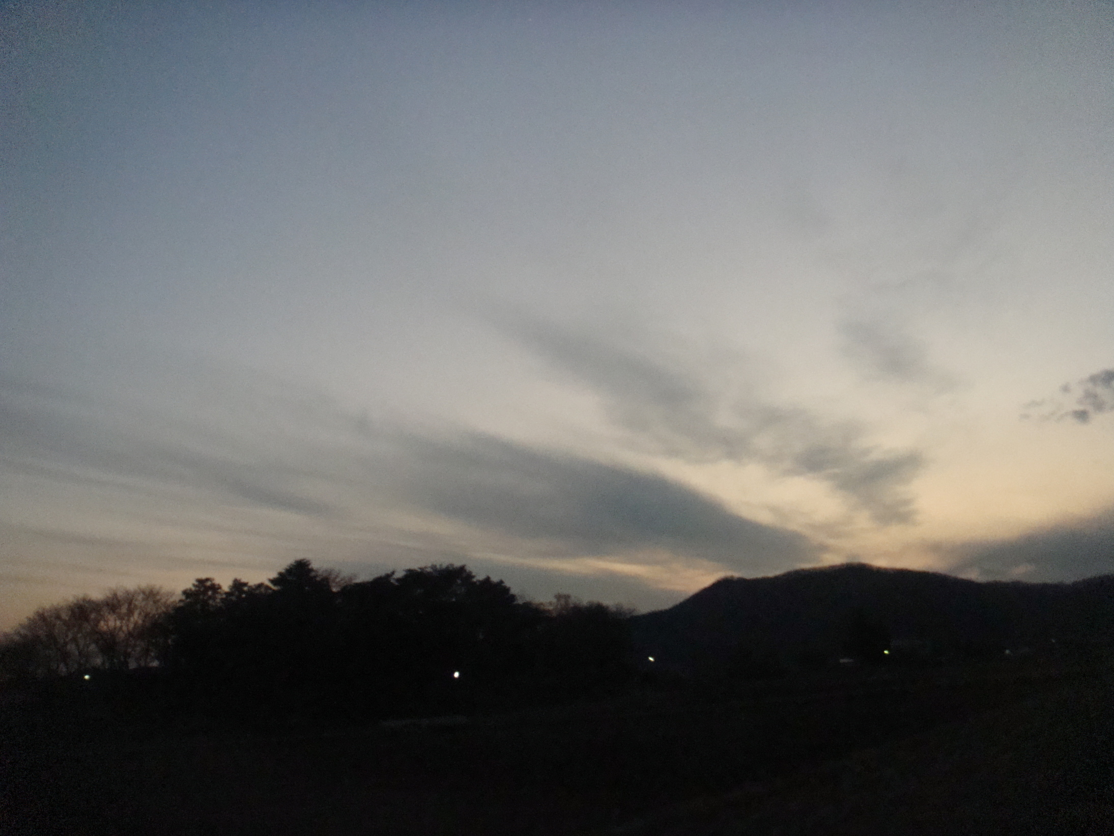 �{���Č����L