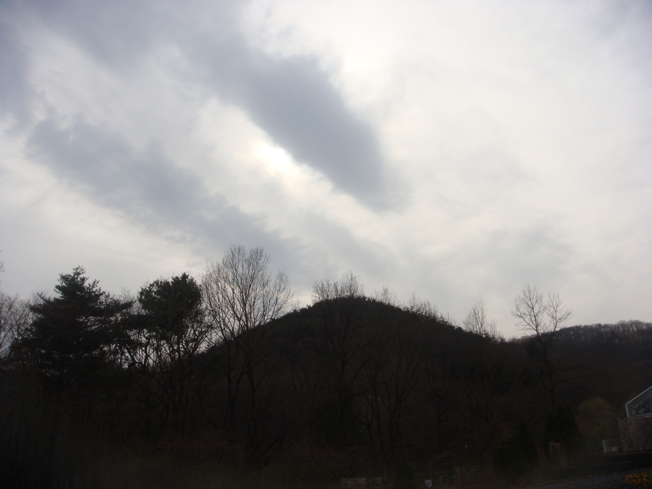 �{���Č����L