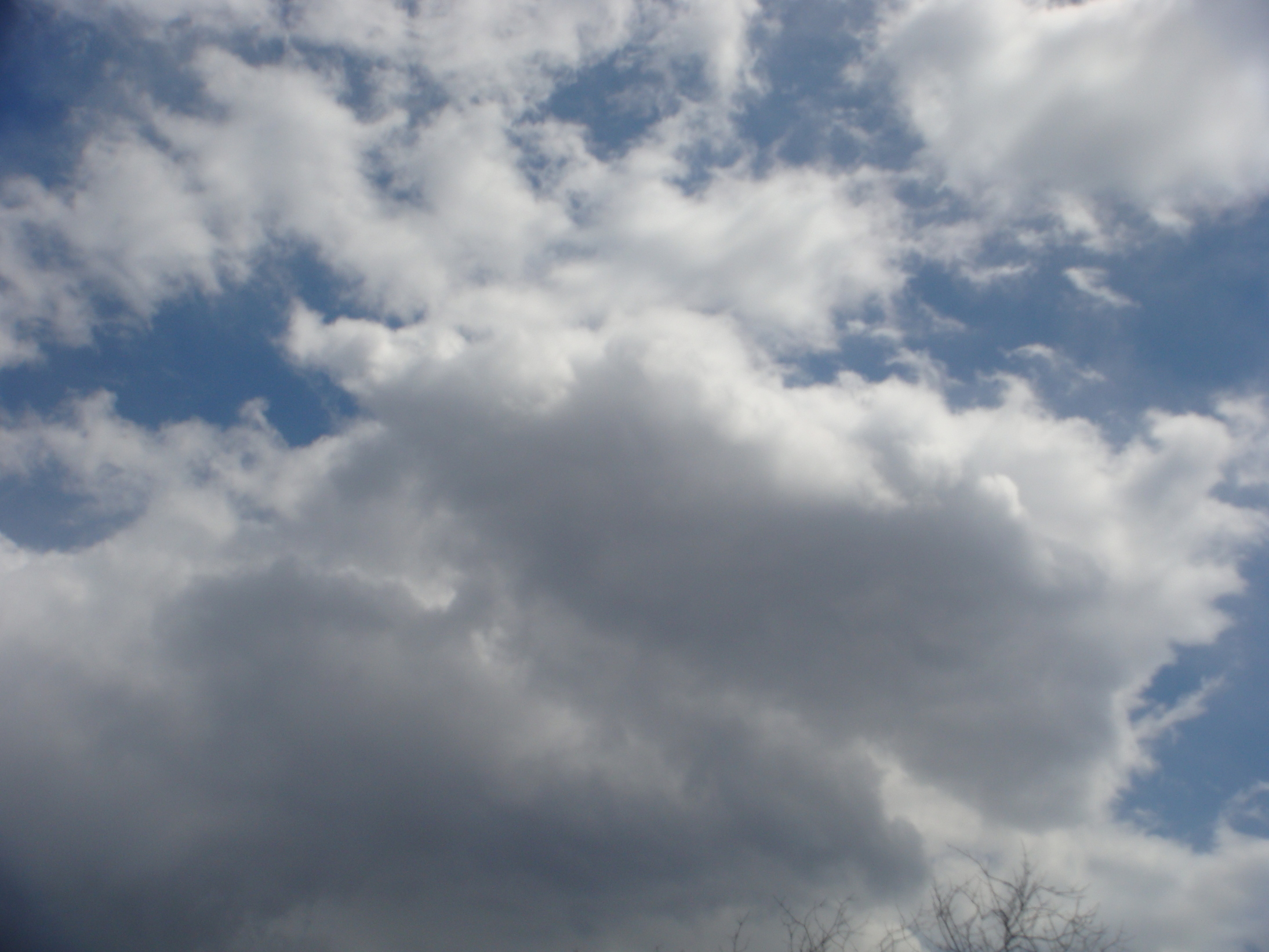 �{���Č����L