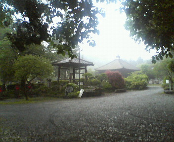 �{���Č����L