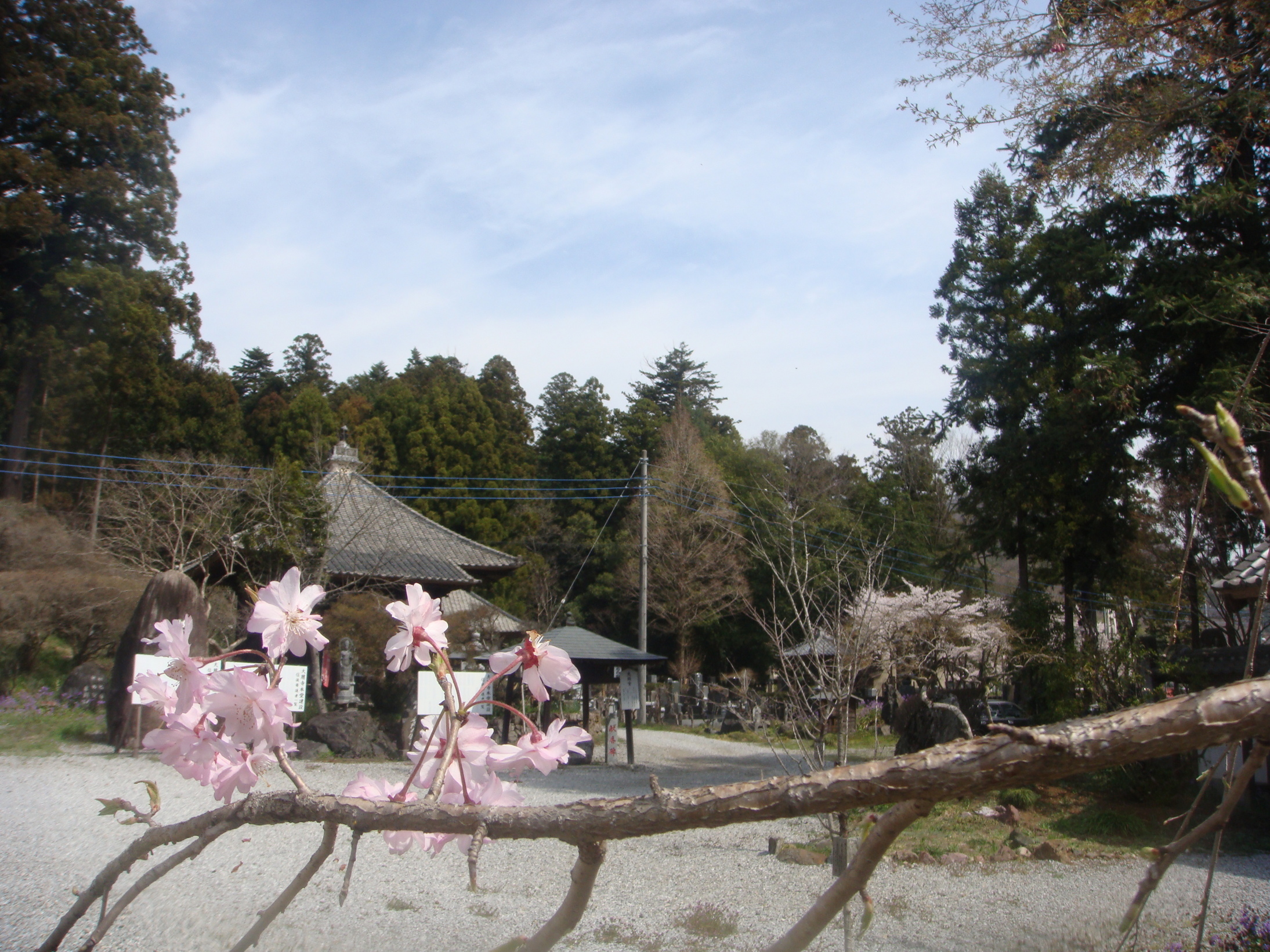 �{���Č����L