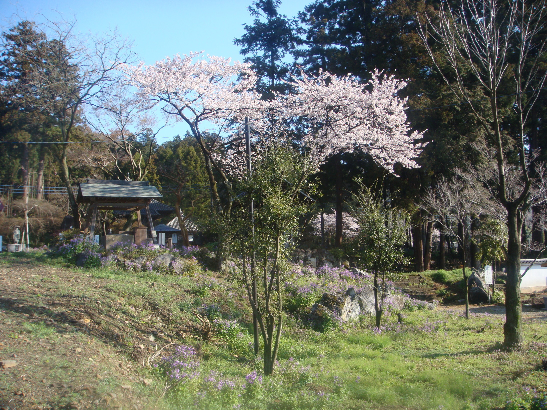 �{���Č����L