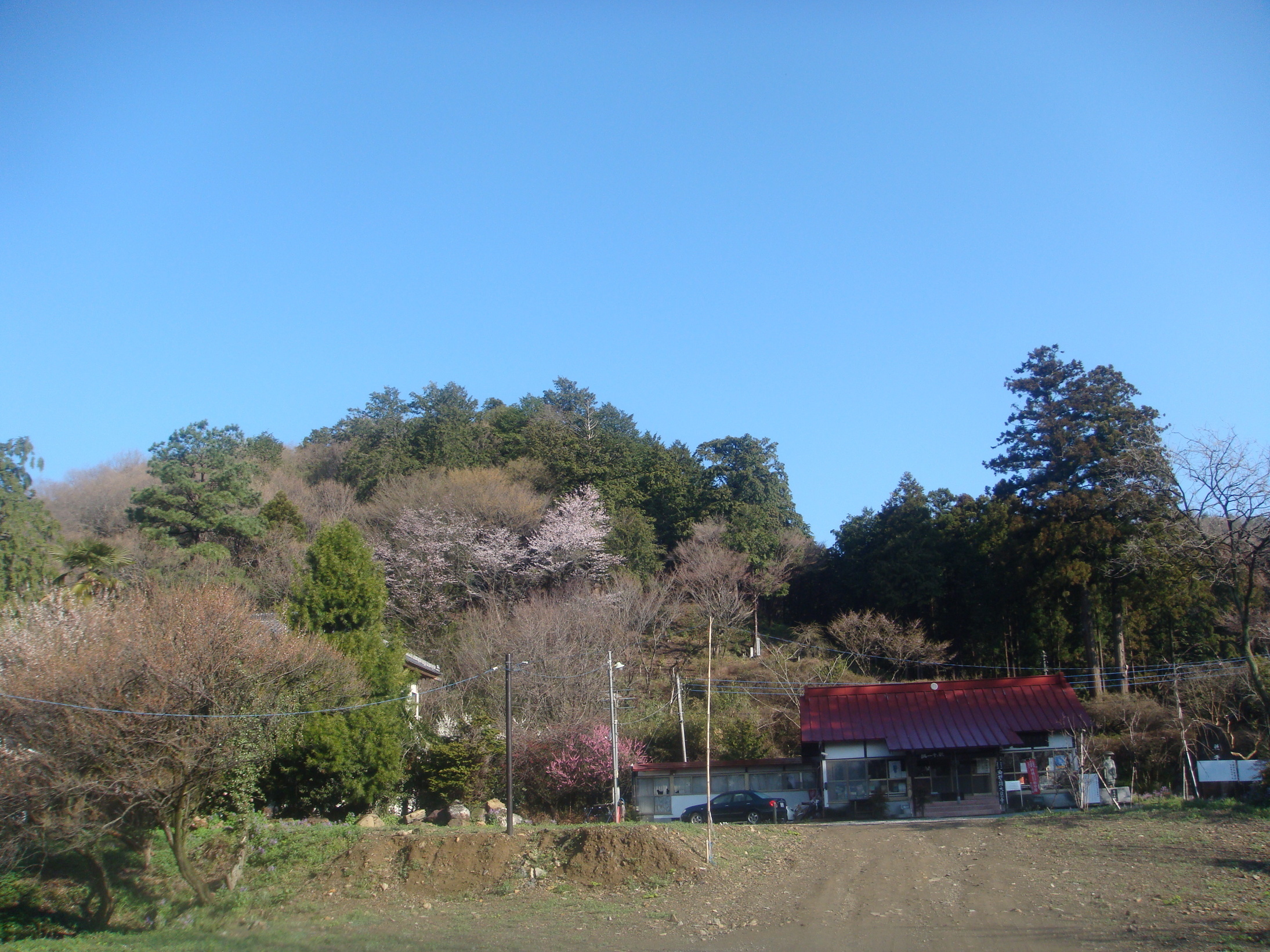 �{���Č����L