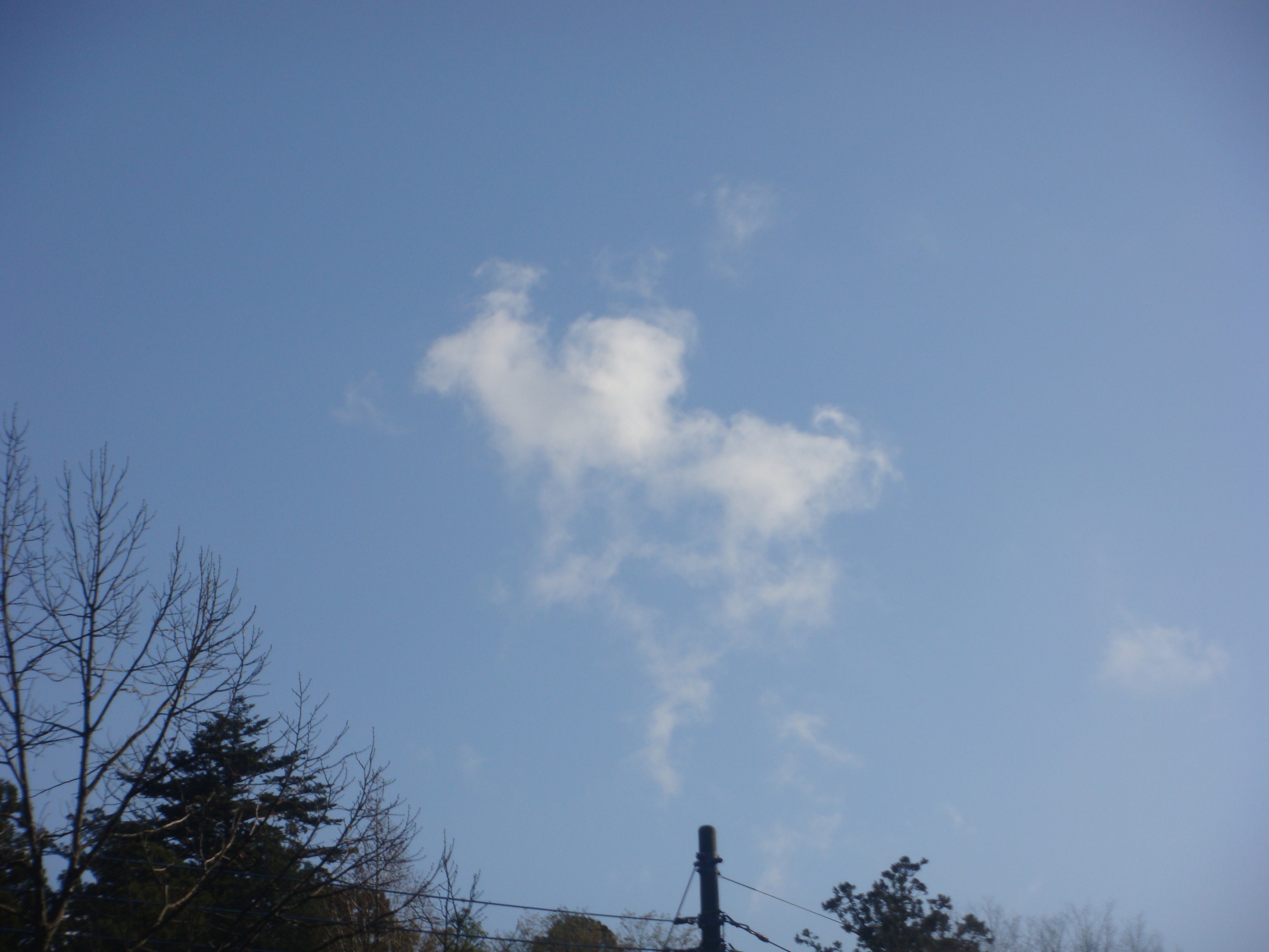 �{���Č����L