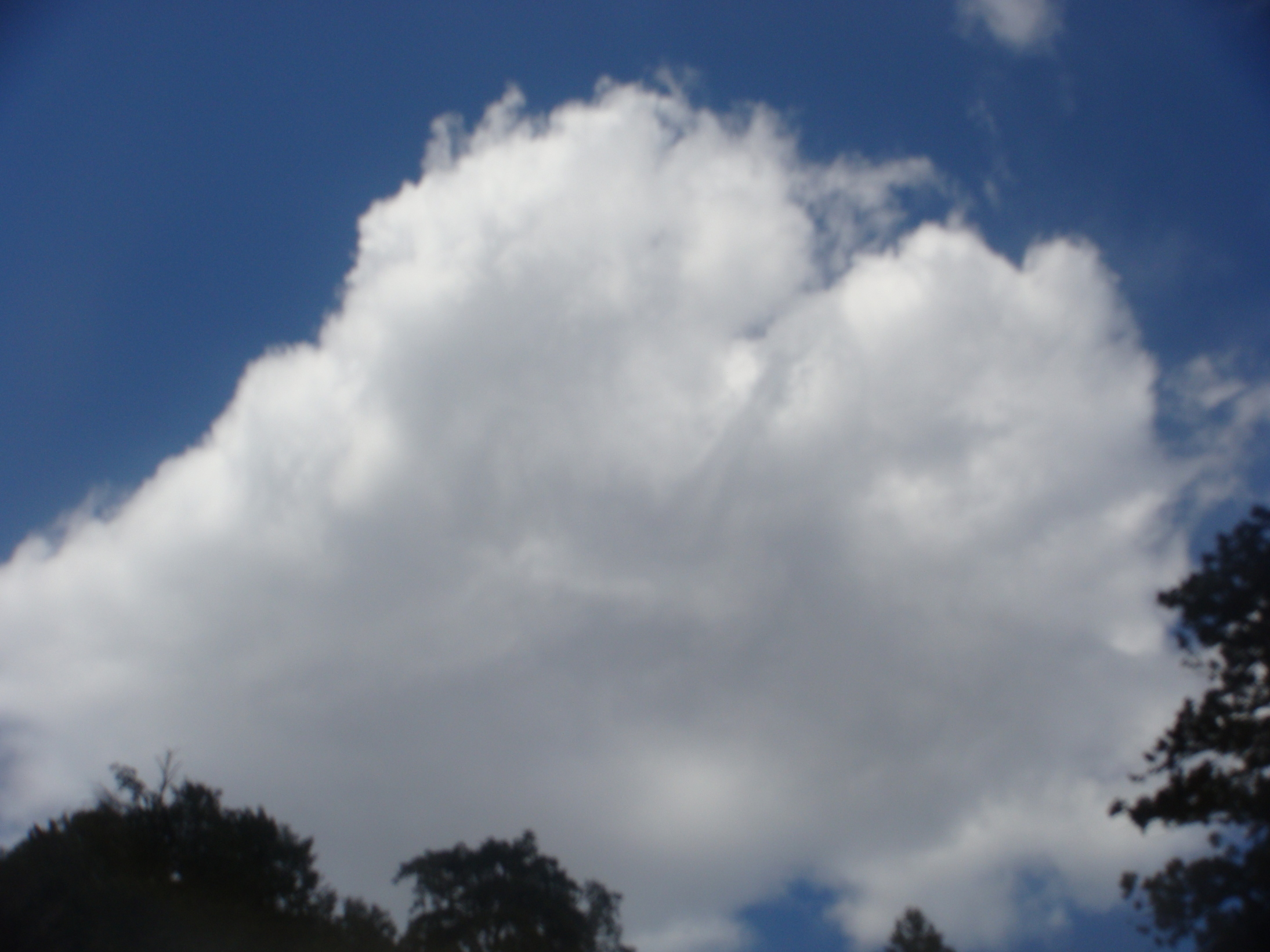 �{���Č����L