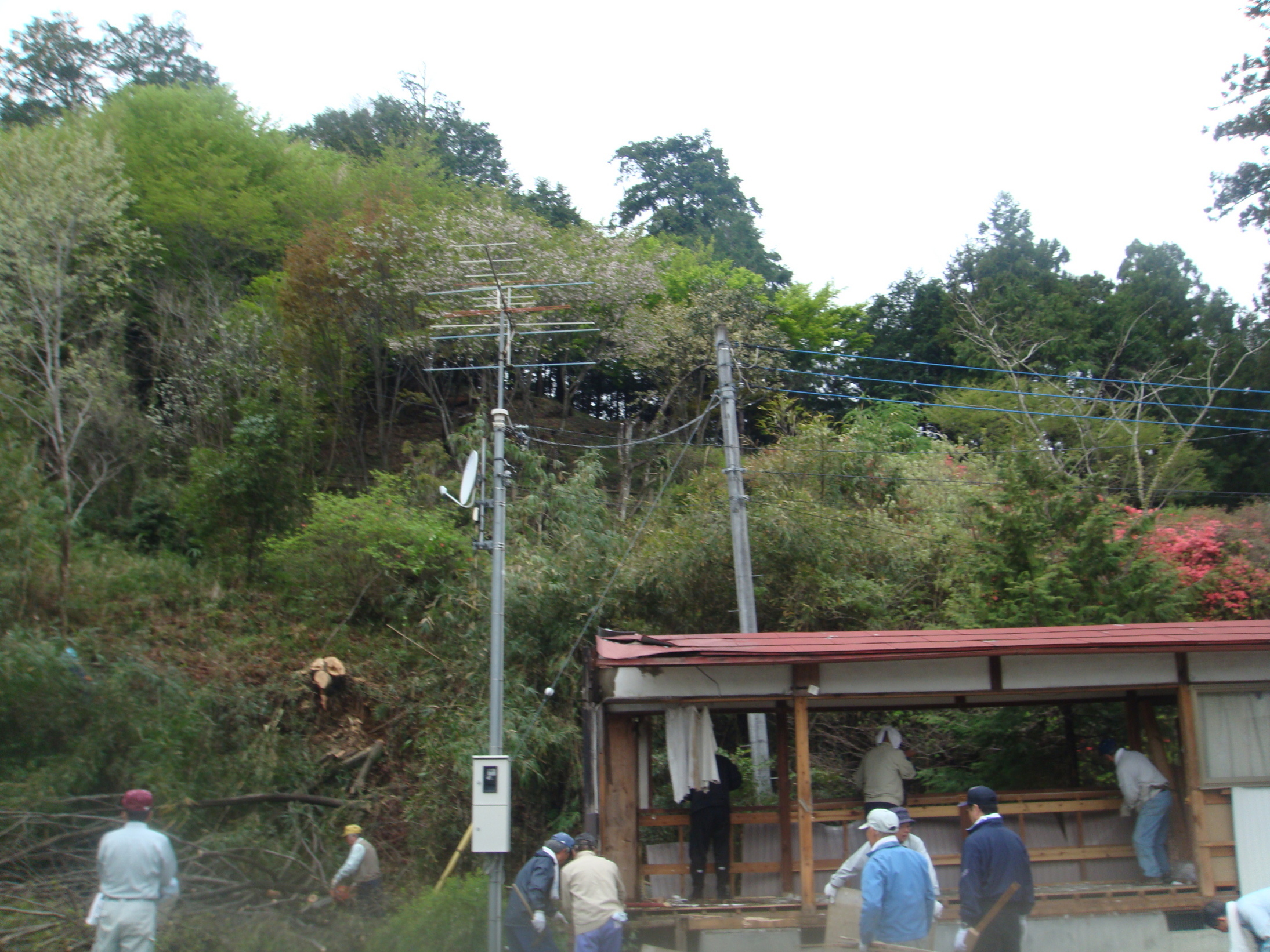 �{���Č����L