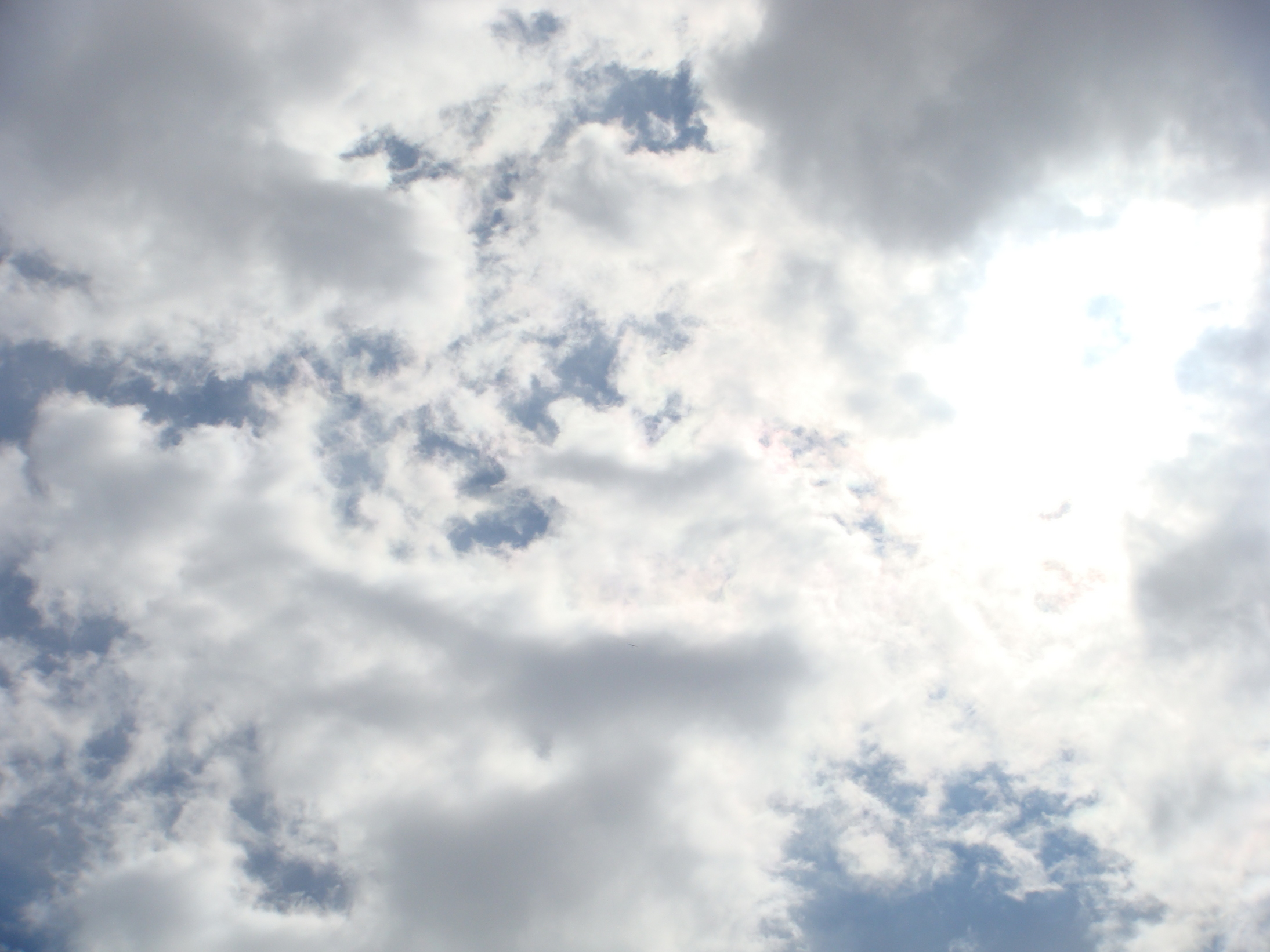 �{���Č����L