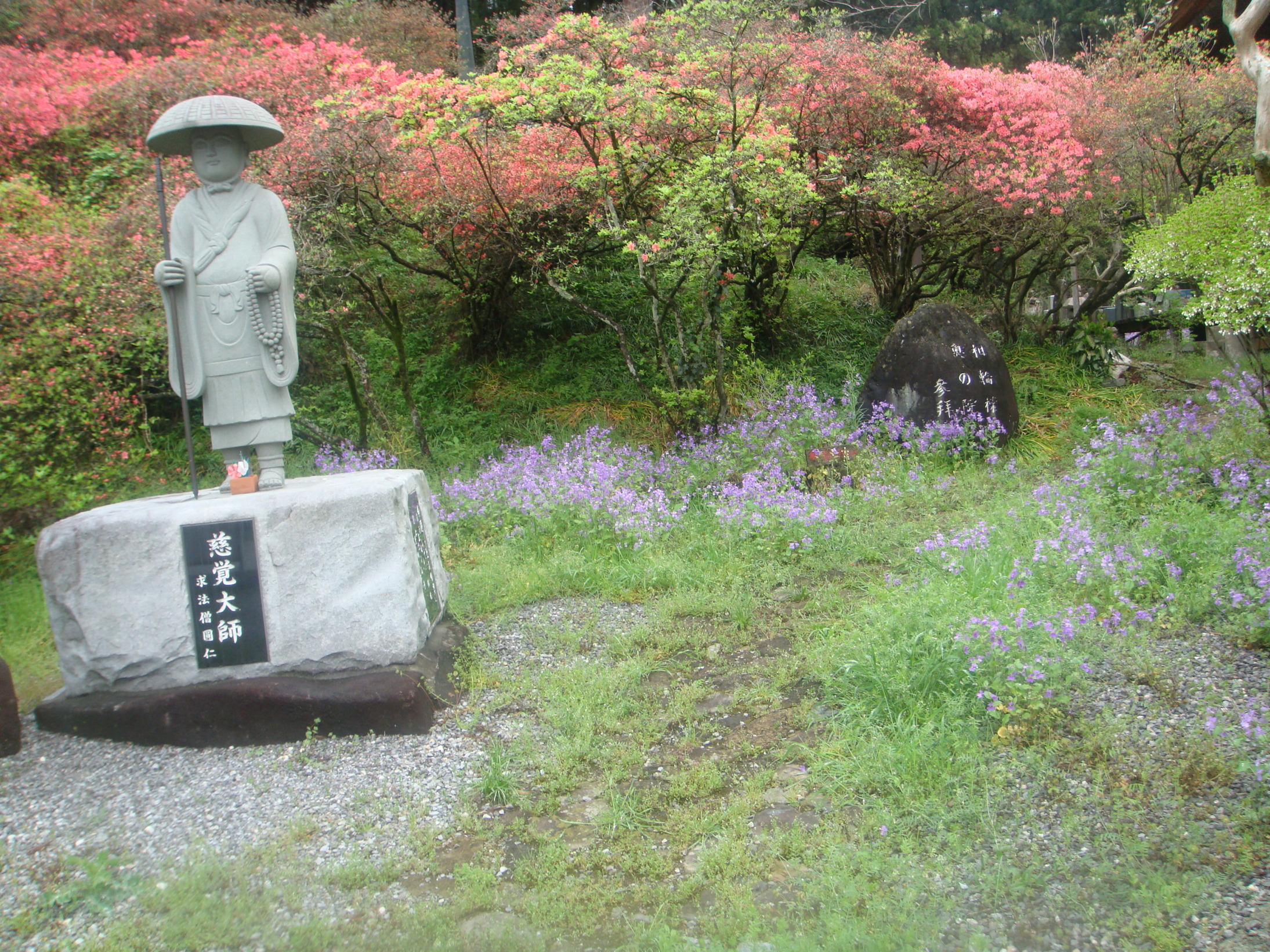 �{���Č����L