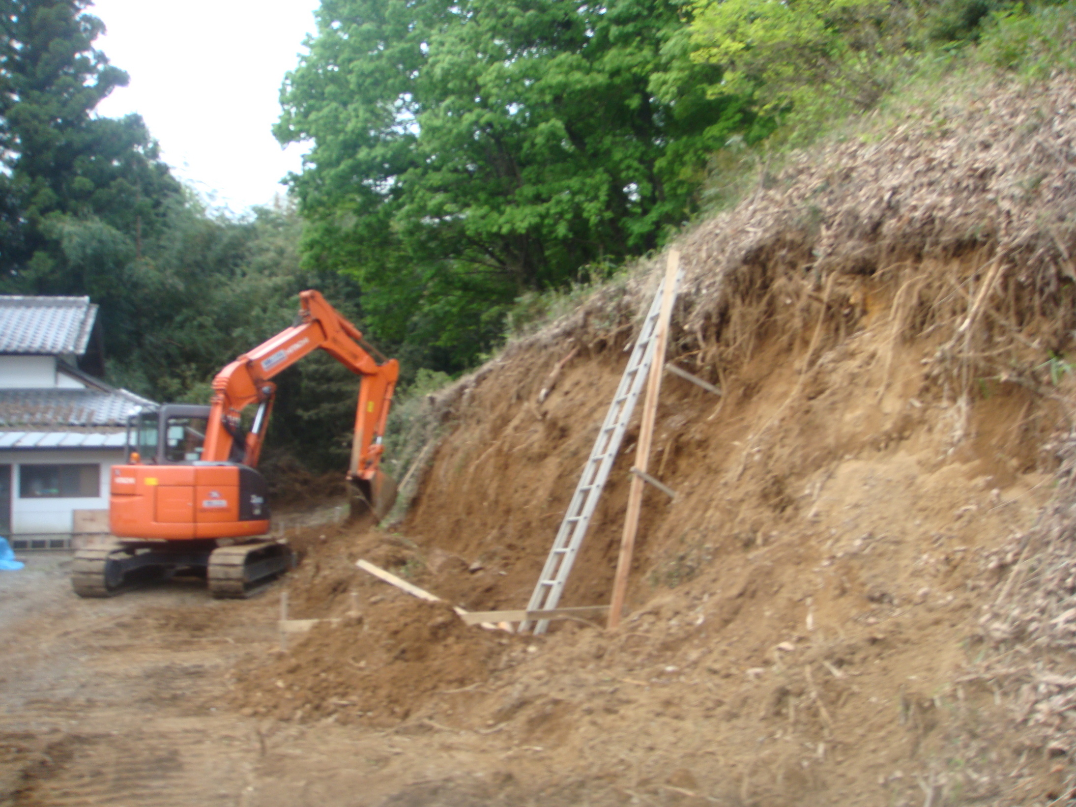 �{���Č����L