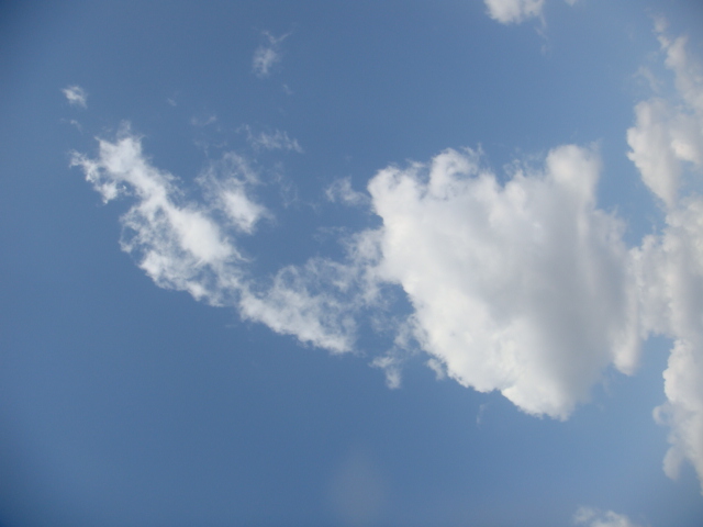 �{���Č����L