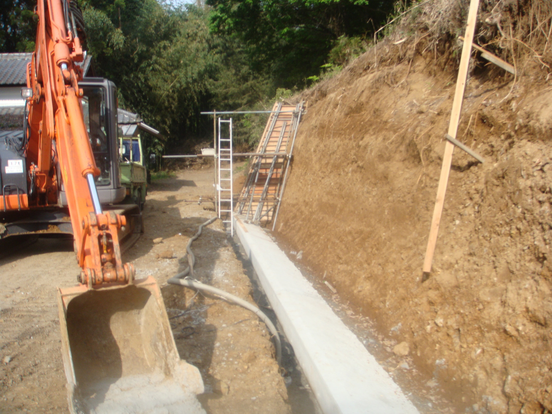 �{���Č����L