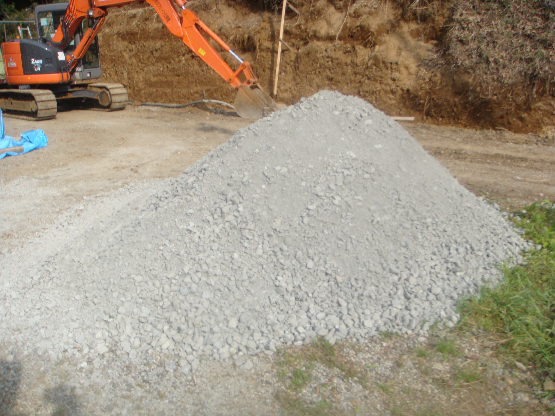 �{���Č����L