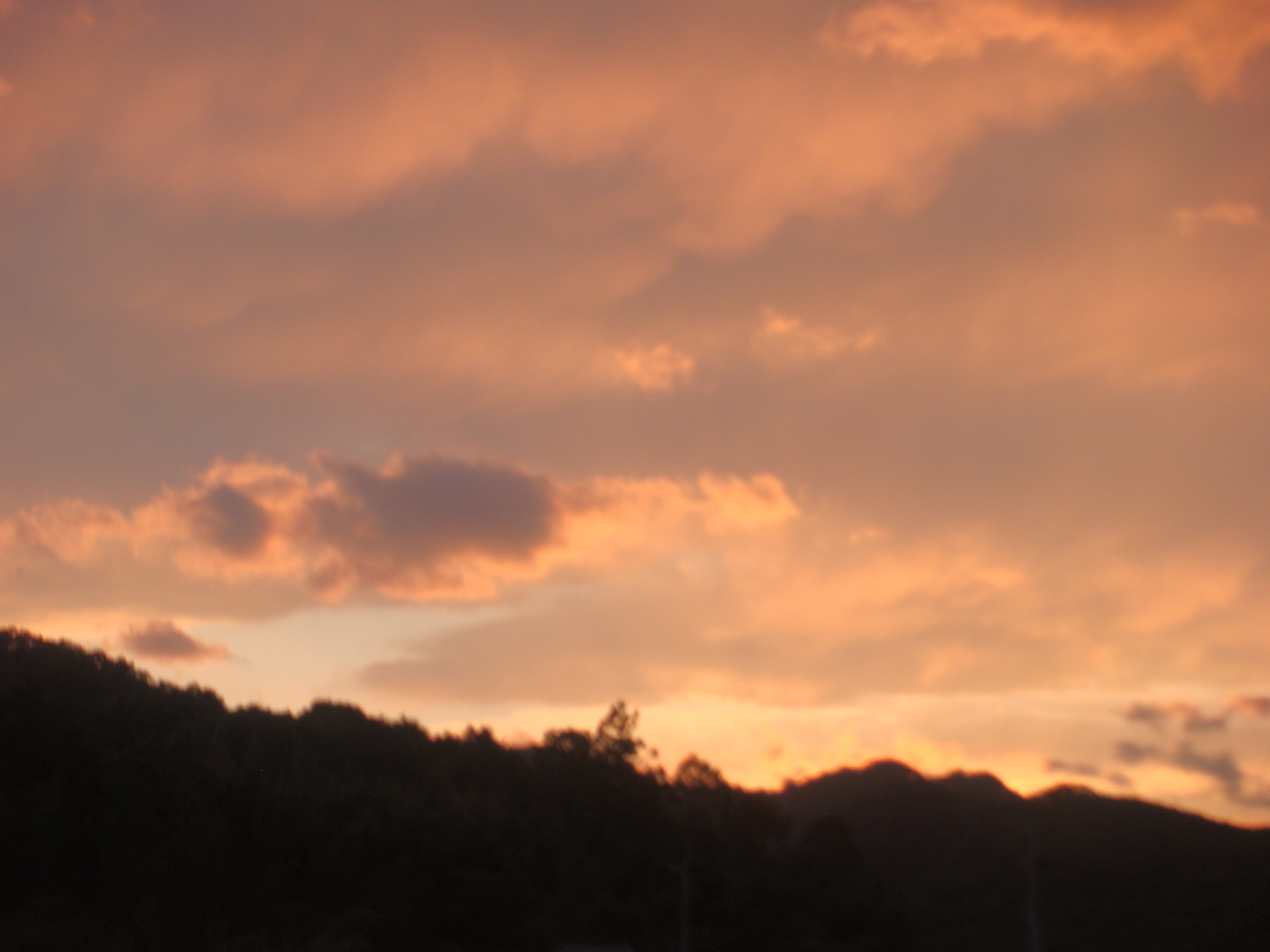 �{���Č����L