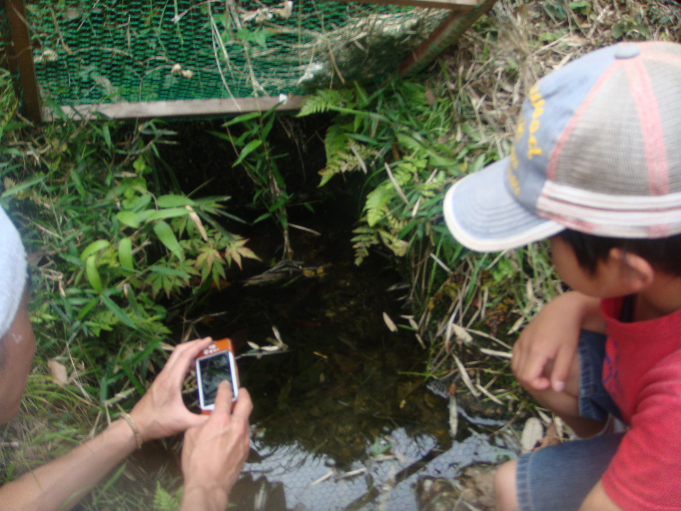 �{���Č����L